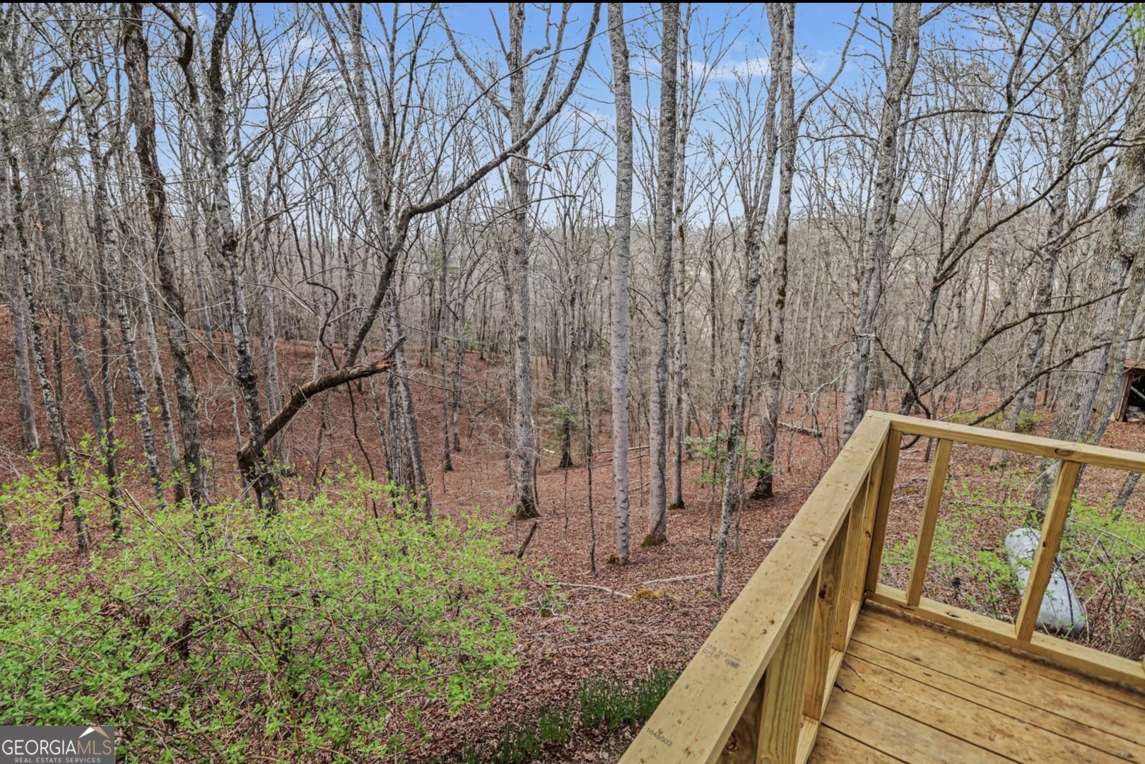 5077 Ada Street Blue Ridge GA 30513
