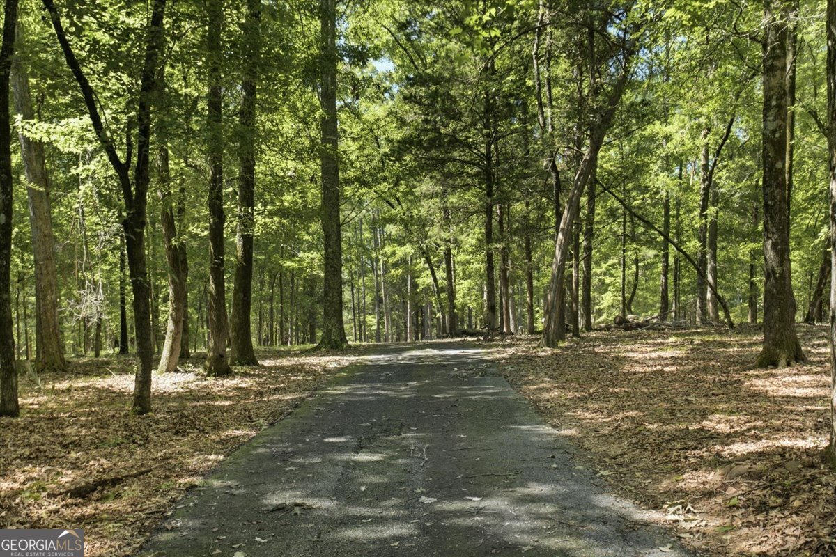 21 River Road Woodland GA 31836