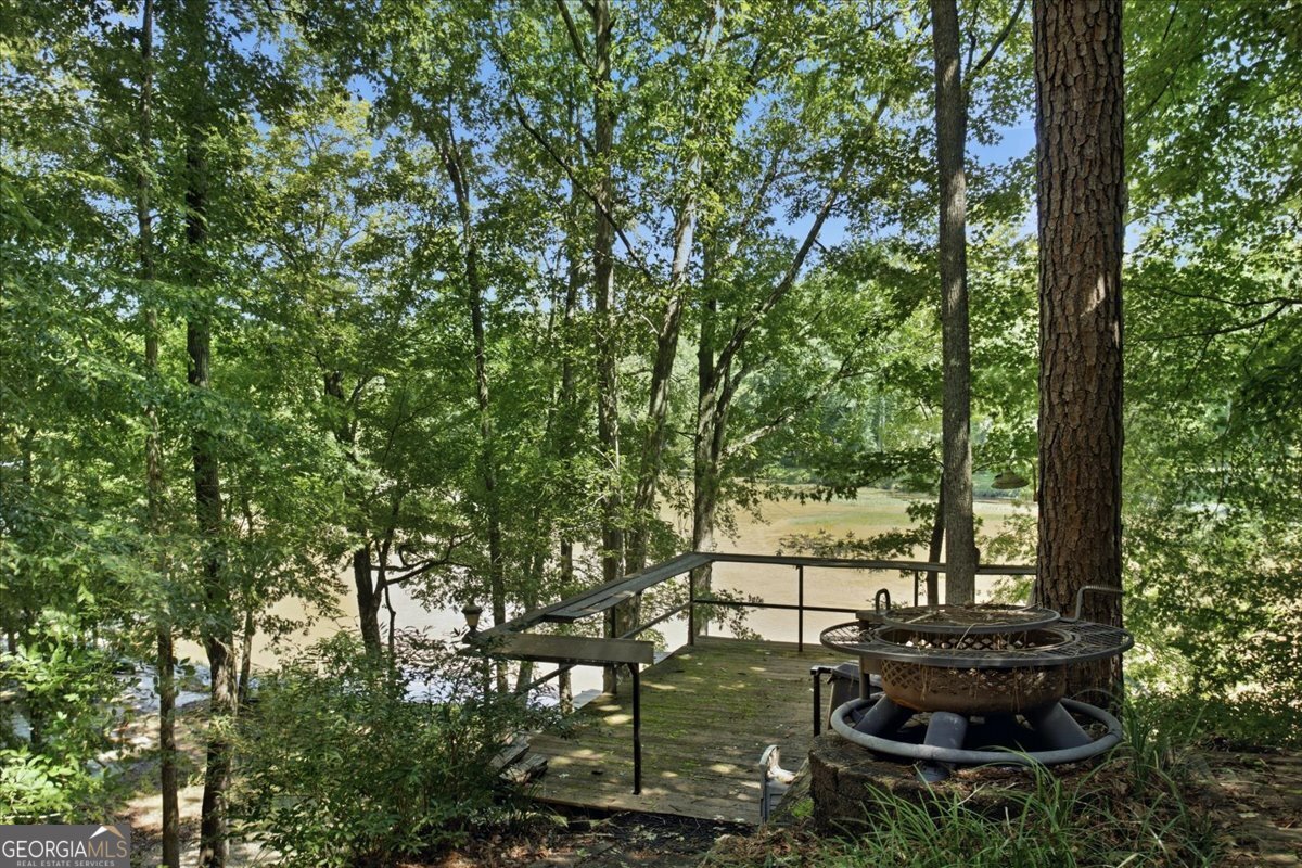 21 River Road Woodland GA 31836