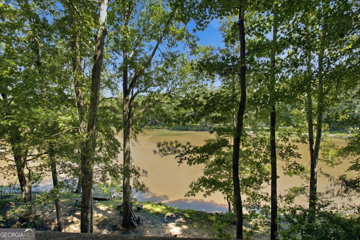 21 River Road Woodland GA 31836