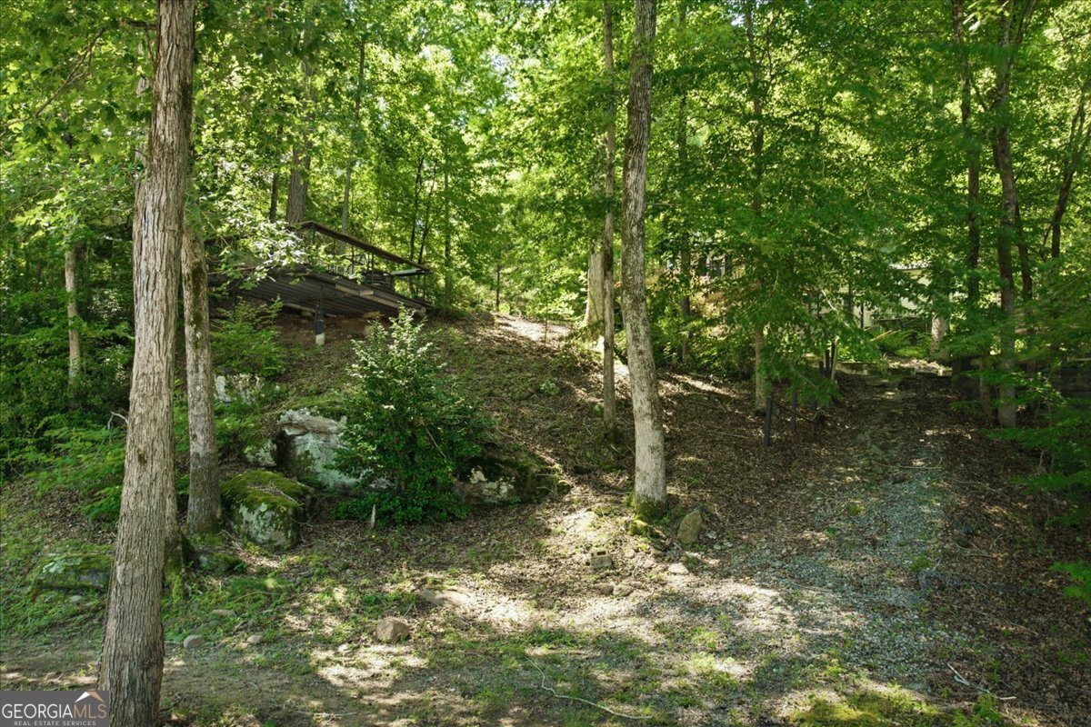 21 River Road Woodland GA 31836