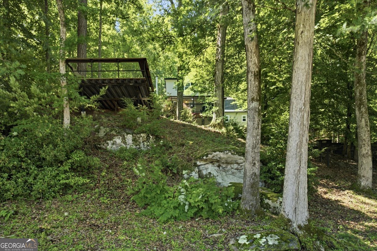21 River Road Woodland GA 31836
