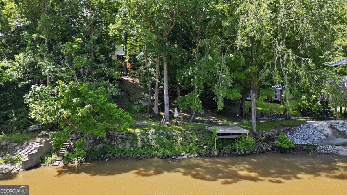 21 River Road Woodland GA 31836