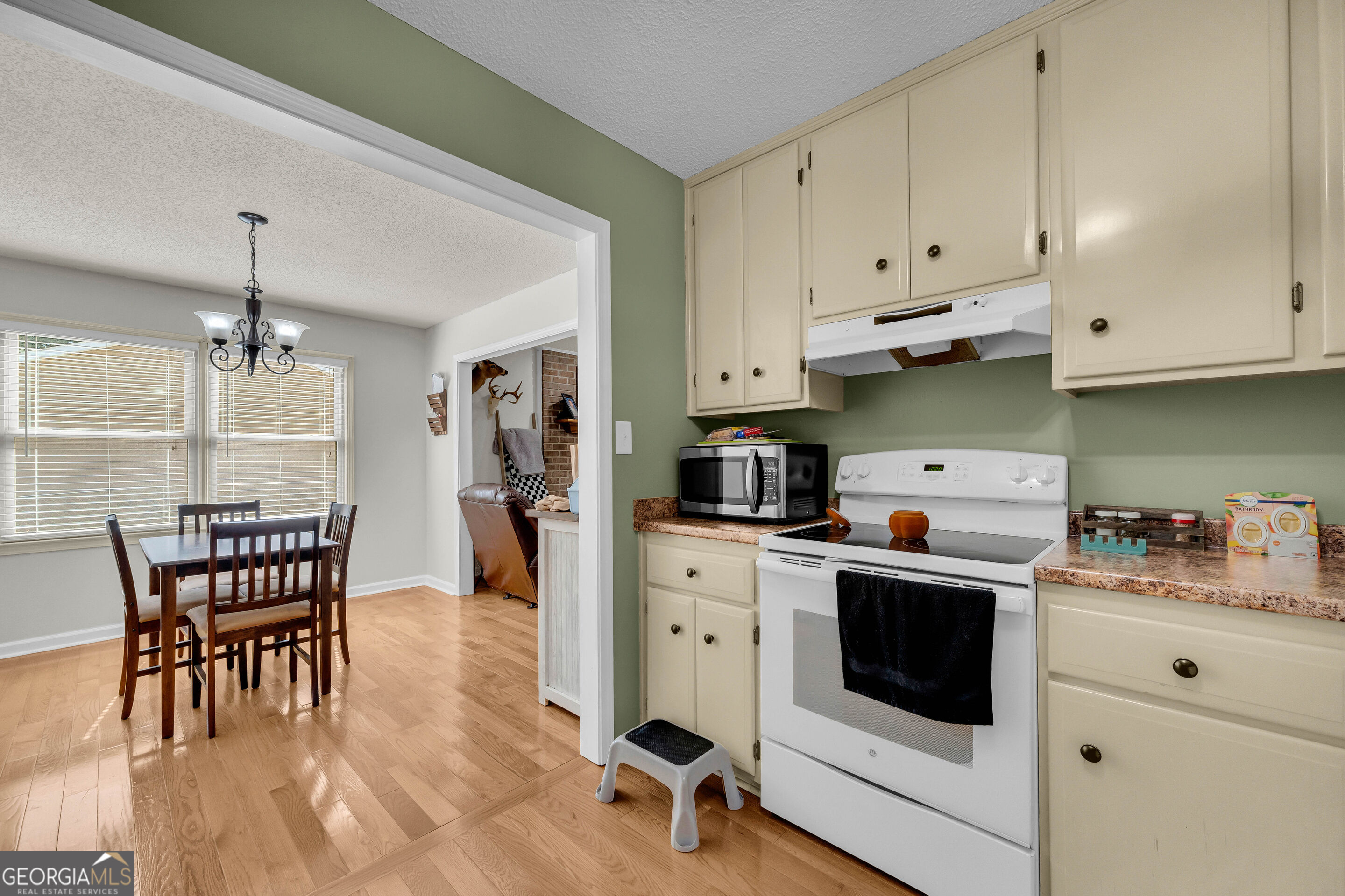 64 White Valley Drive Toccoa GA 30577