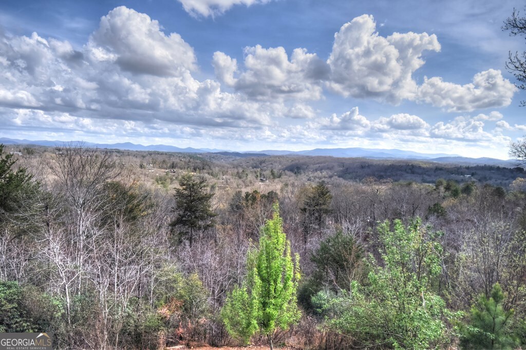185 Logan Drive Mineral Bluff GA 30559