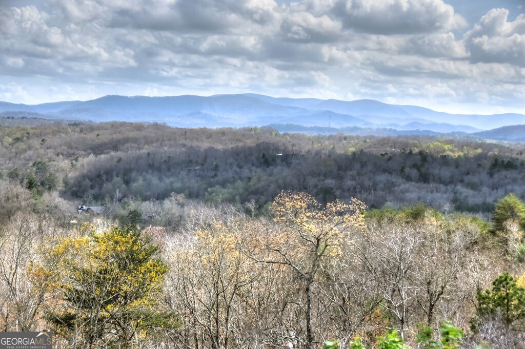 185 Logan Drive Mineral Bluff GA 30559