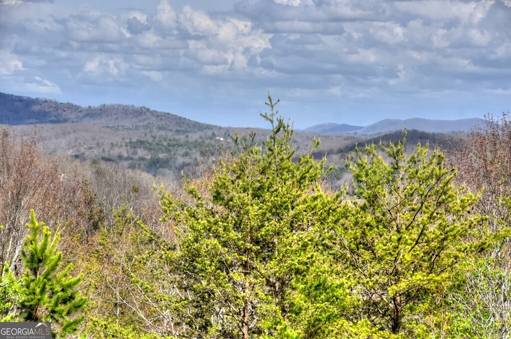 185 Logan Drive Mineral Bluff GA 30559