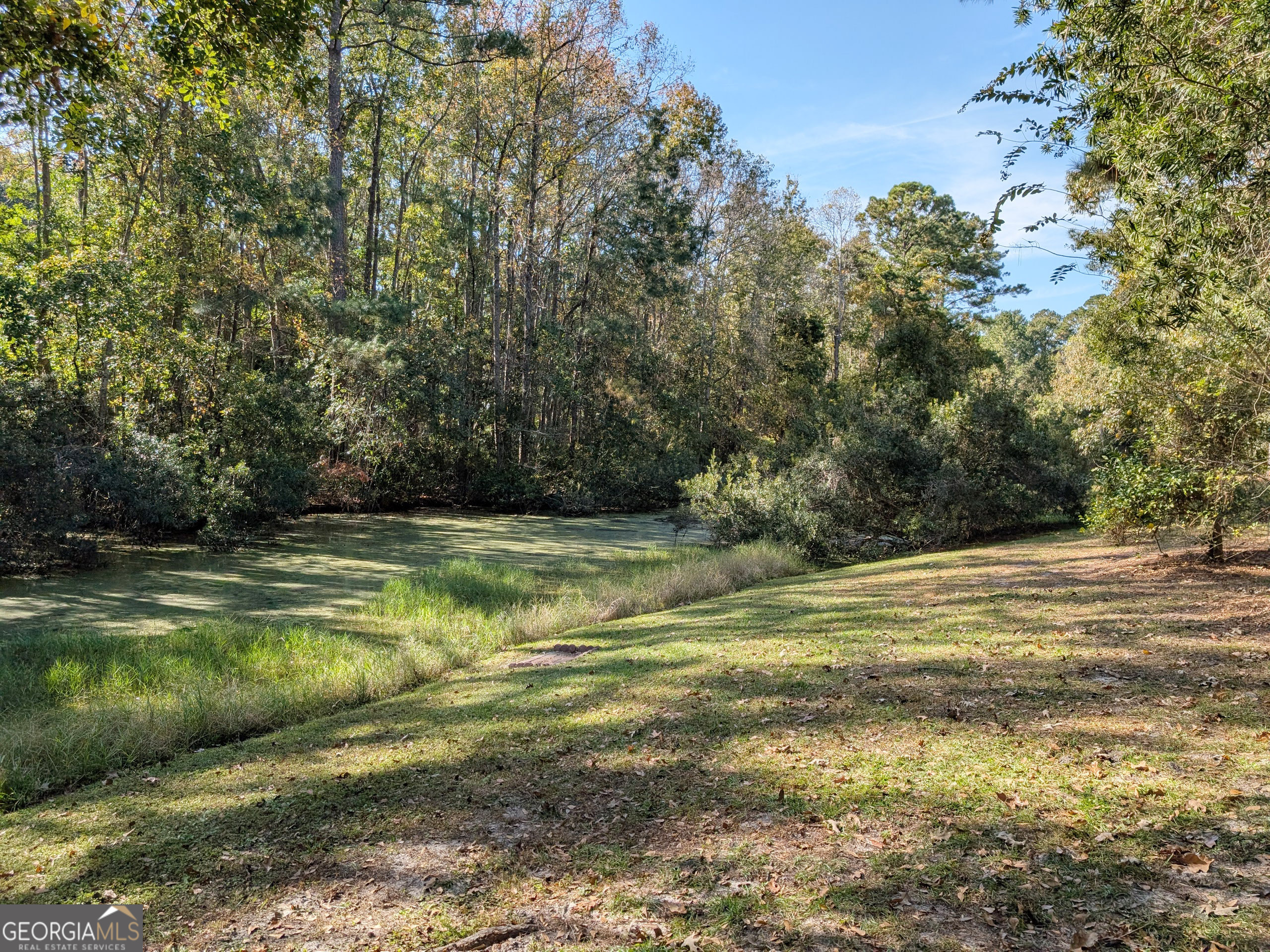 243 Mclaughlin Court Richmond Hill GA 31324