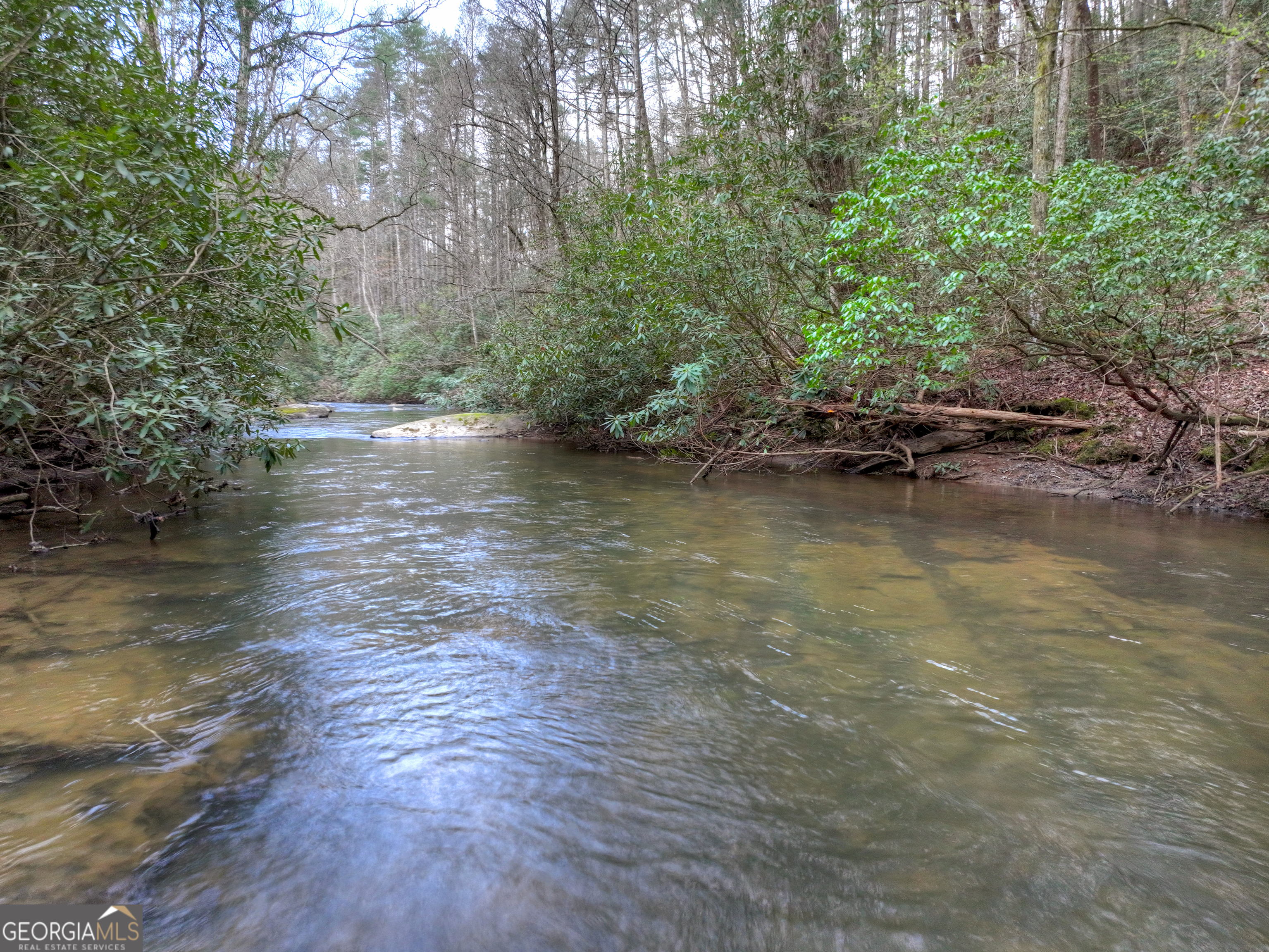 266 River Road Cherry Log GA 30522