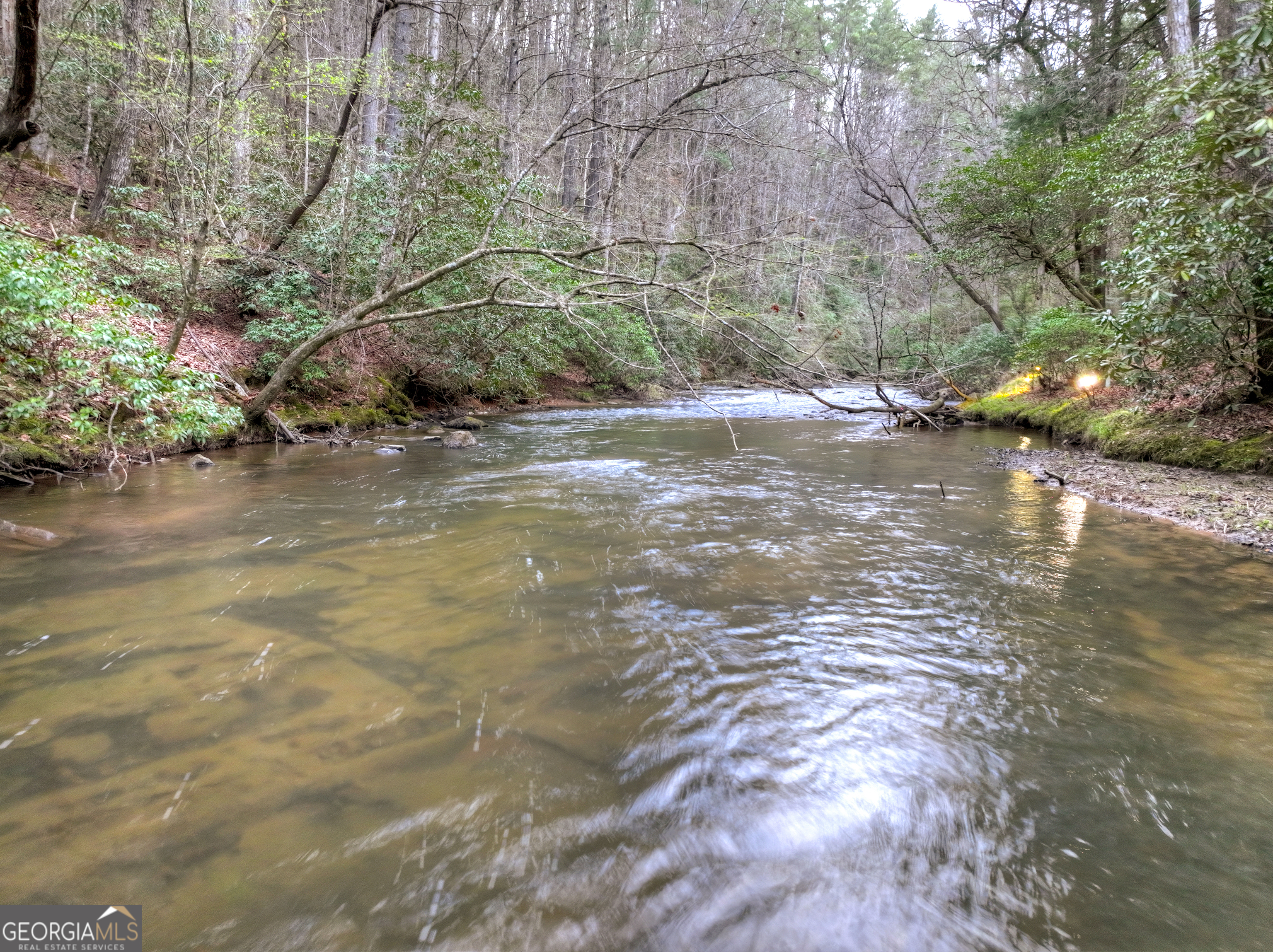 266 River Road Cherry Log GA 30522