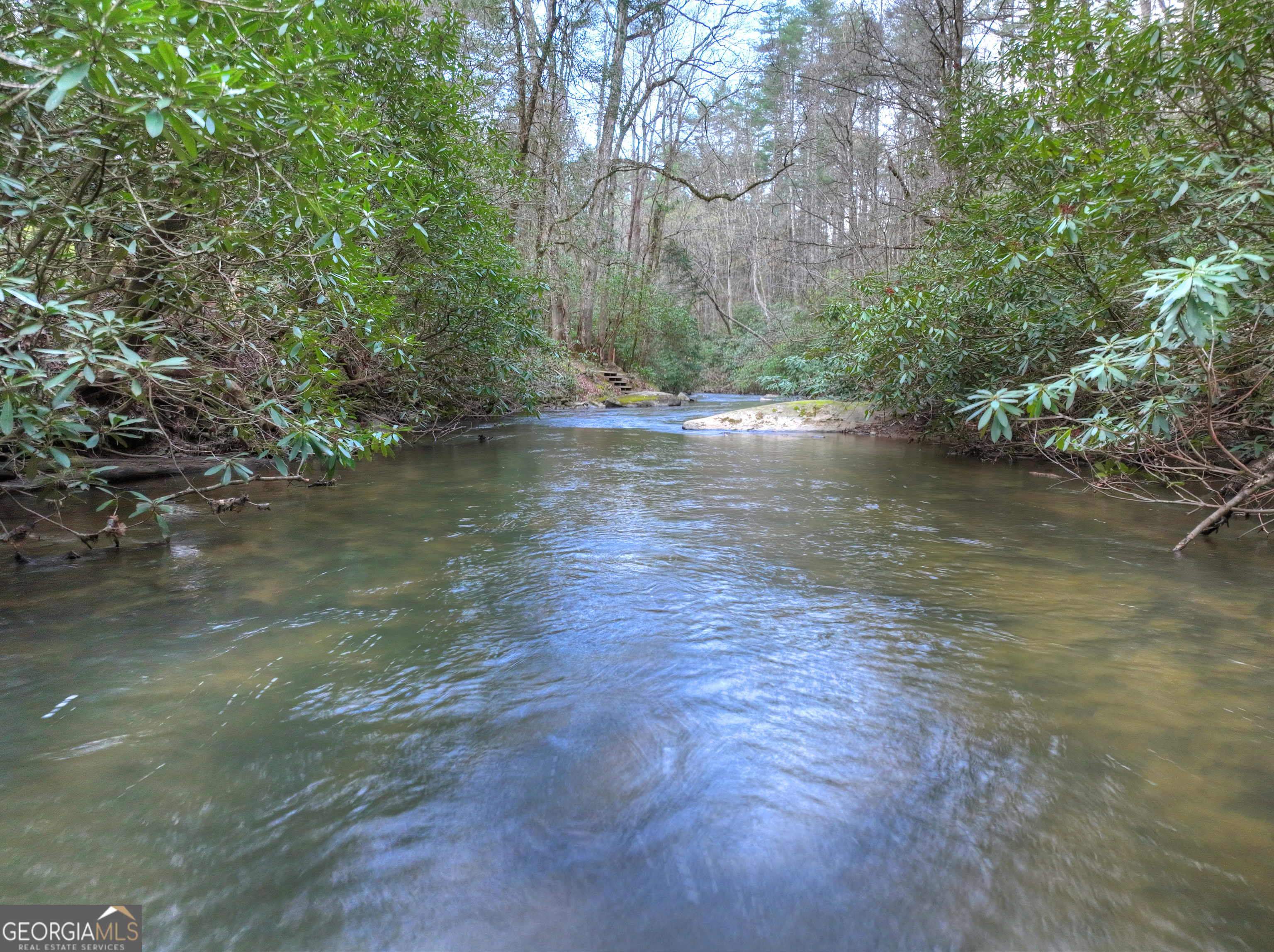 266 River Road Cherry Log GA 30522