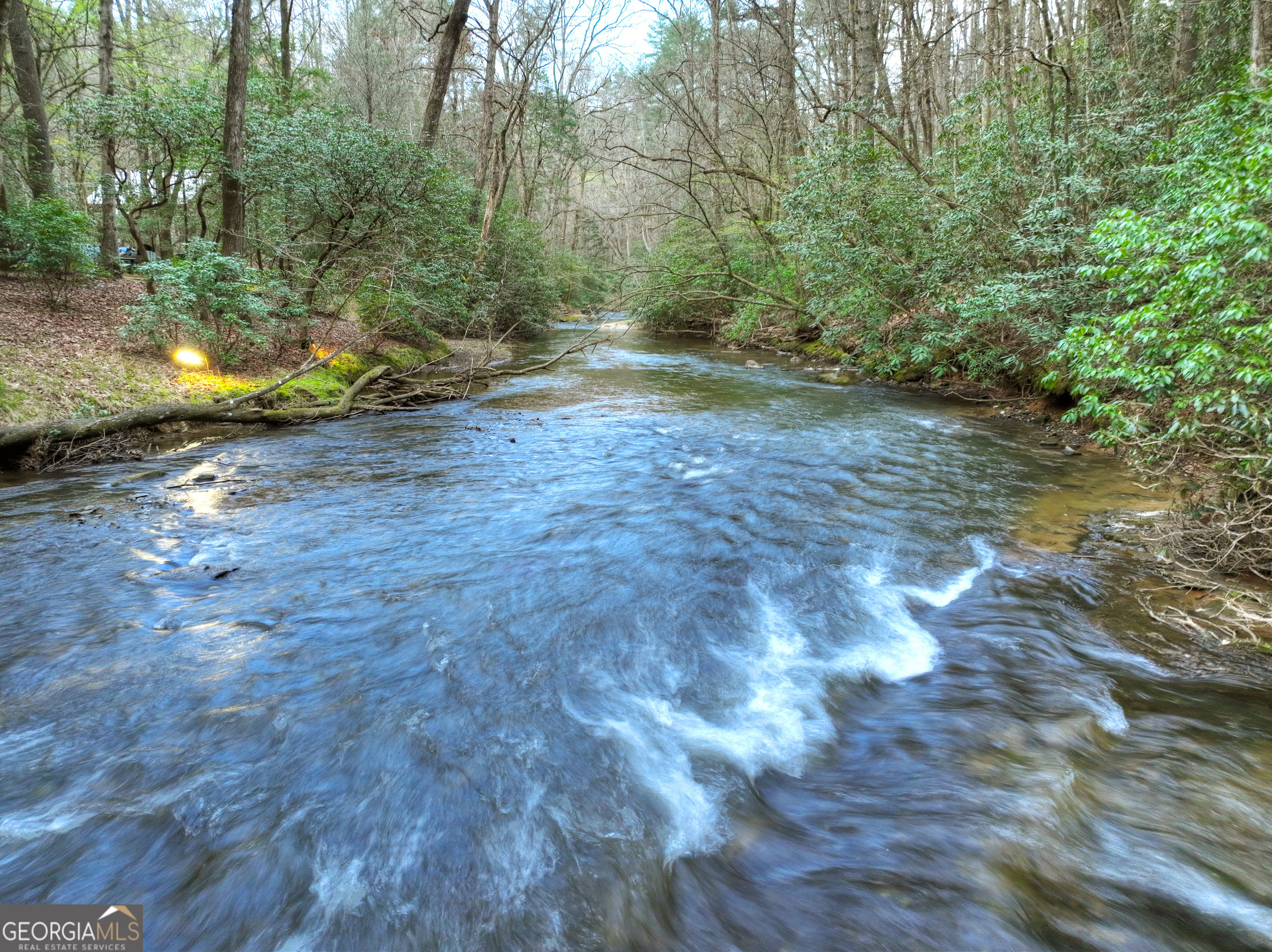 266 River Road Cherry Log GA 30522