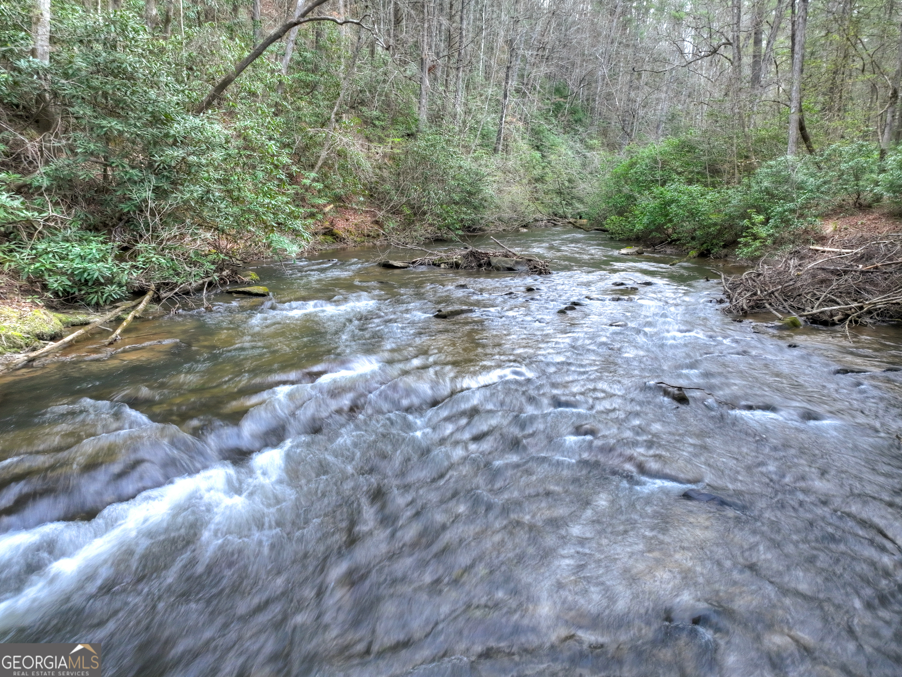 266 River Road Cherry Log GA 30522