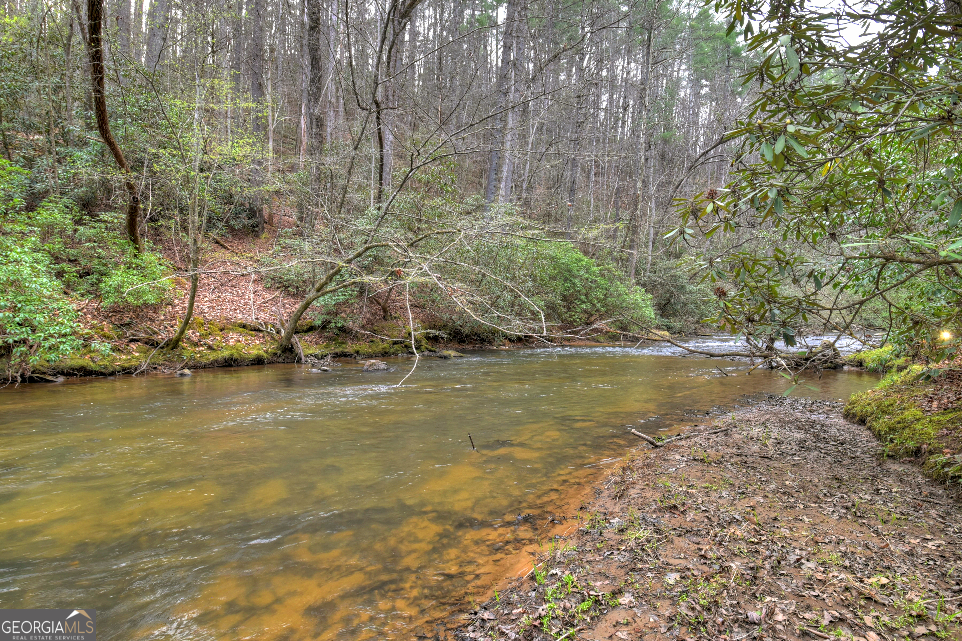 266 River Road Cherry Log GA 30522