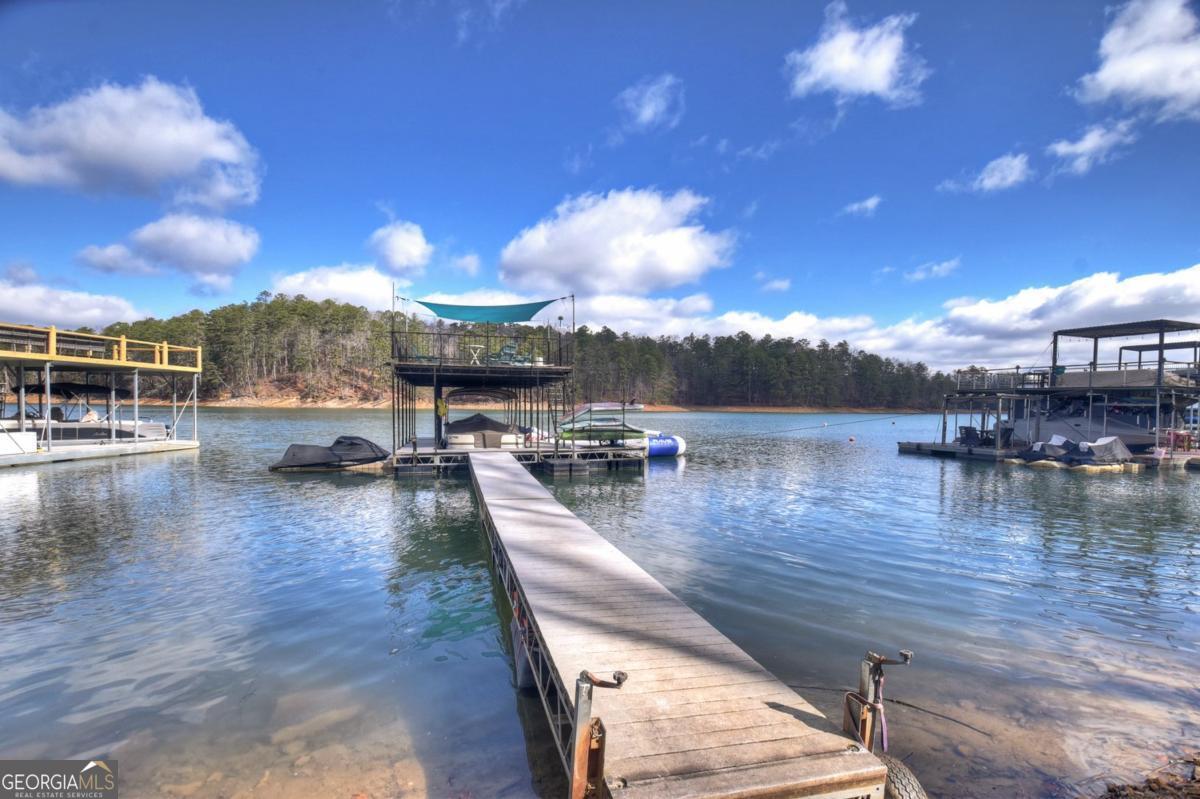59 Chiefs Lane Blue Ridge GA 30513