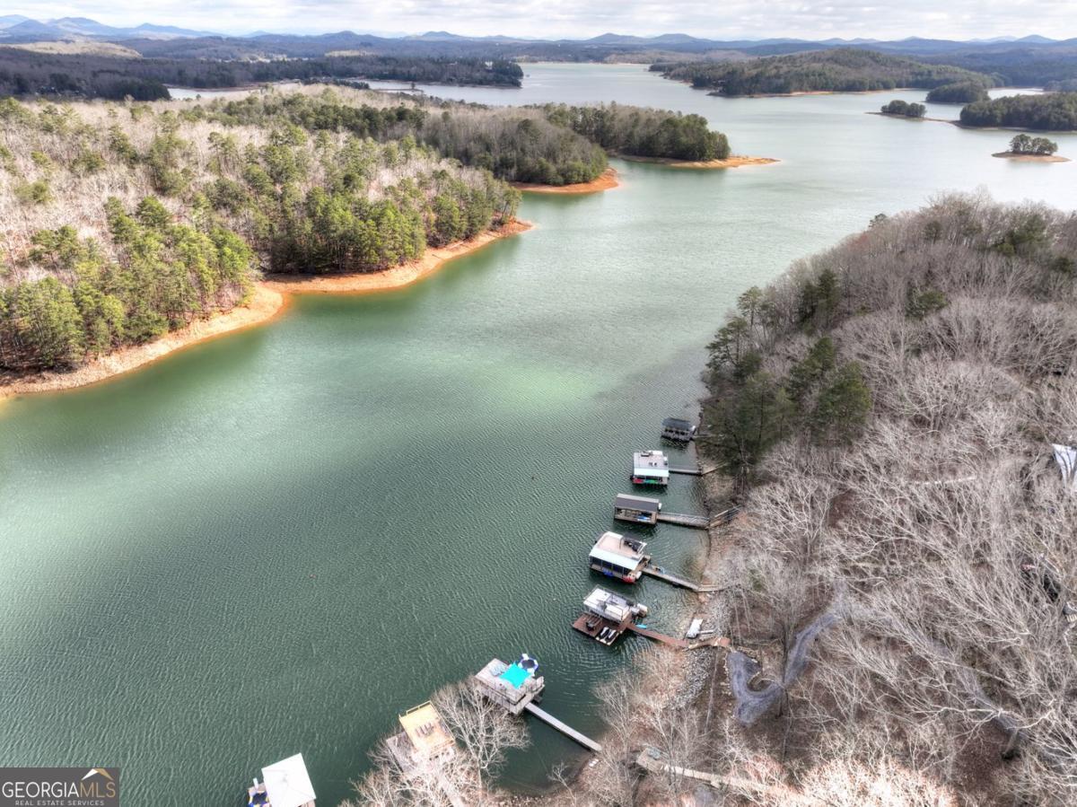 59 Chiefs Lane Blue Ridge GA 30513