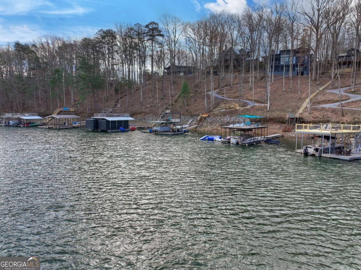 59 Chiefs Lane Blue Ridge GA 30513