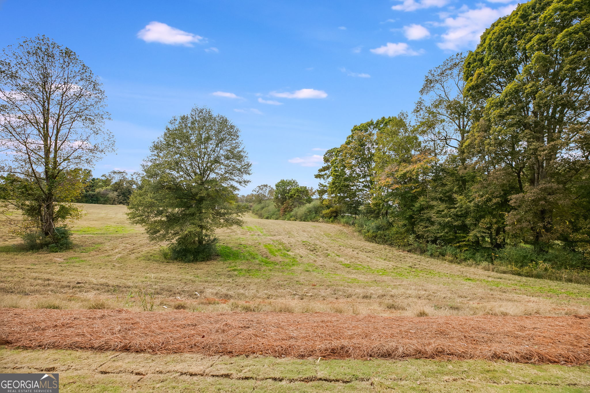 3356 Veal Street Roopville GA 30170