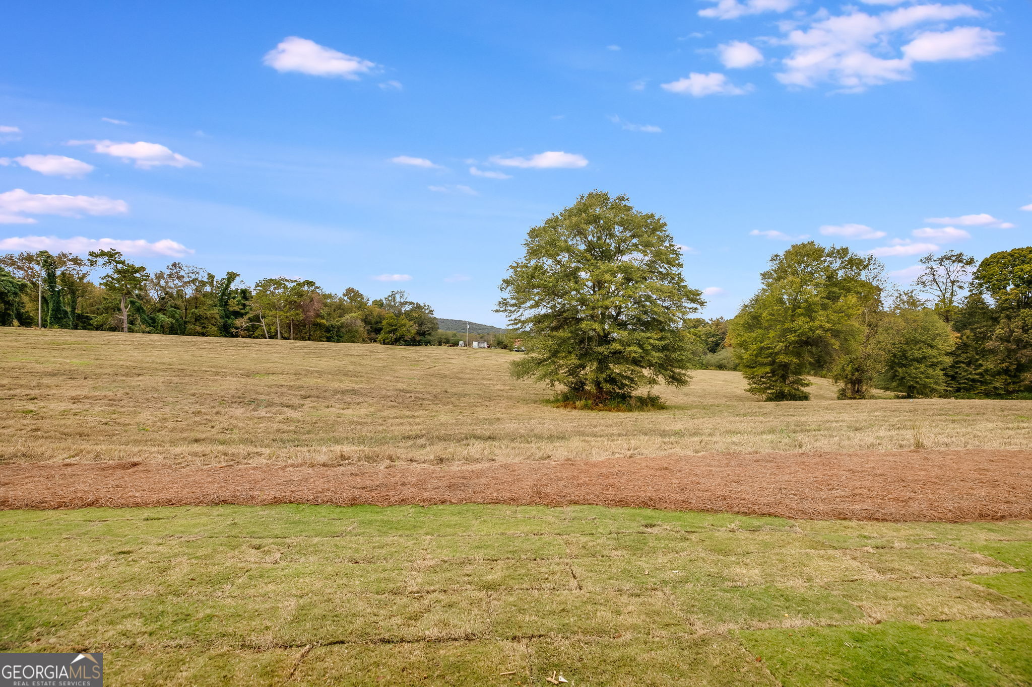 3356 Veal Street Roopville GA 30170