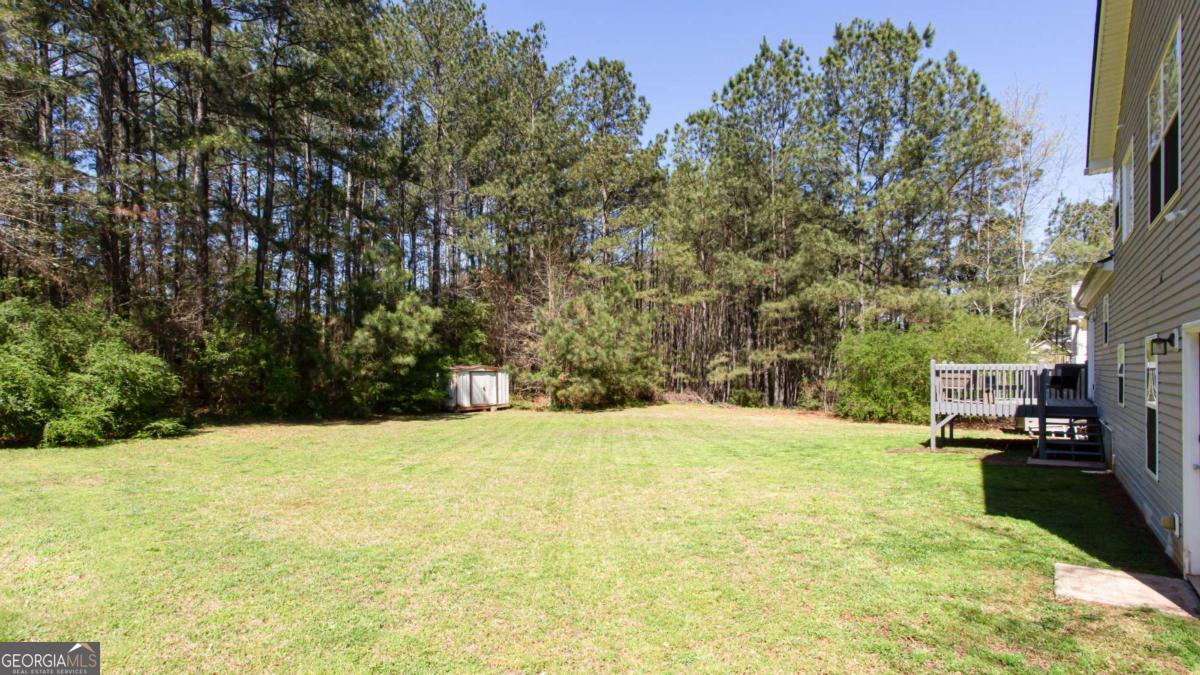 1029 Preserve Lane Bethlehem GA 30620