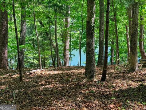 51 Mountain Park Boulevard Cleveland GA 30528