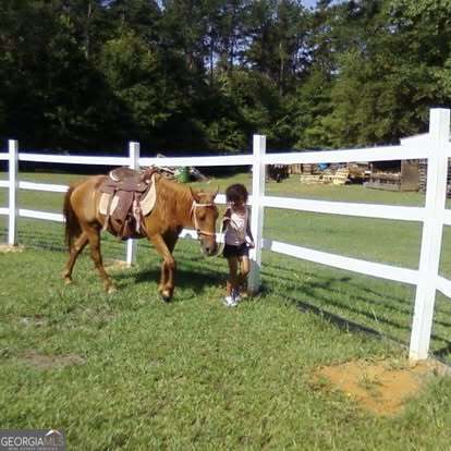 8345 Cleckler Road Palmetto GA 30268