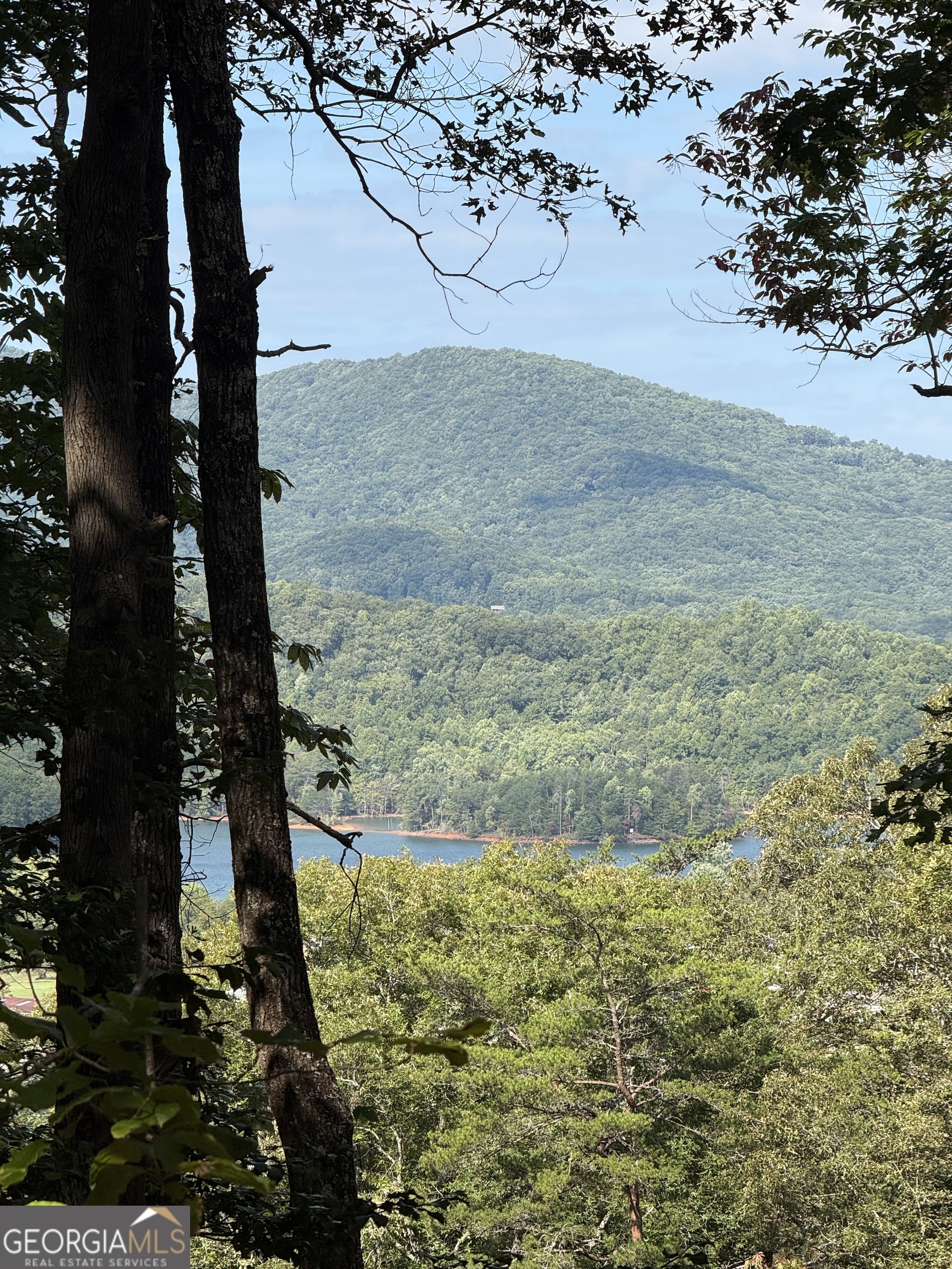 Lot 7 Whiskey Mountain Estates Hiawassee GA 30546