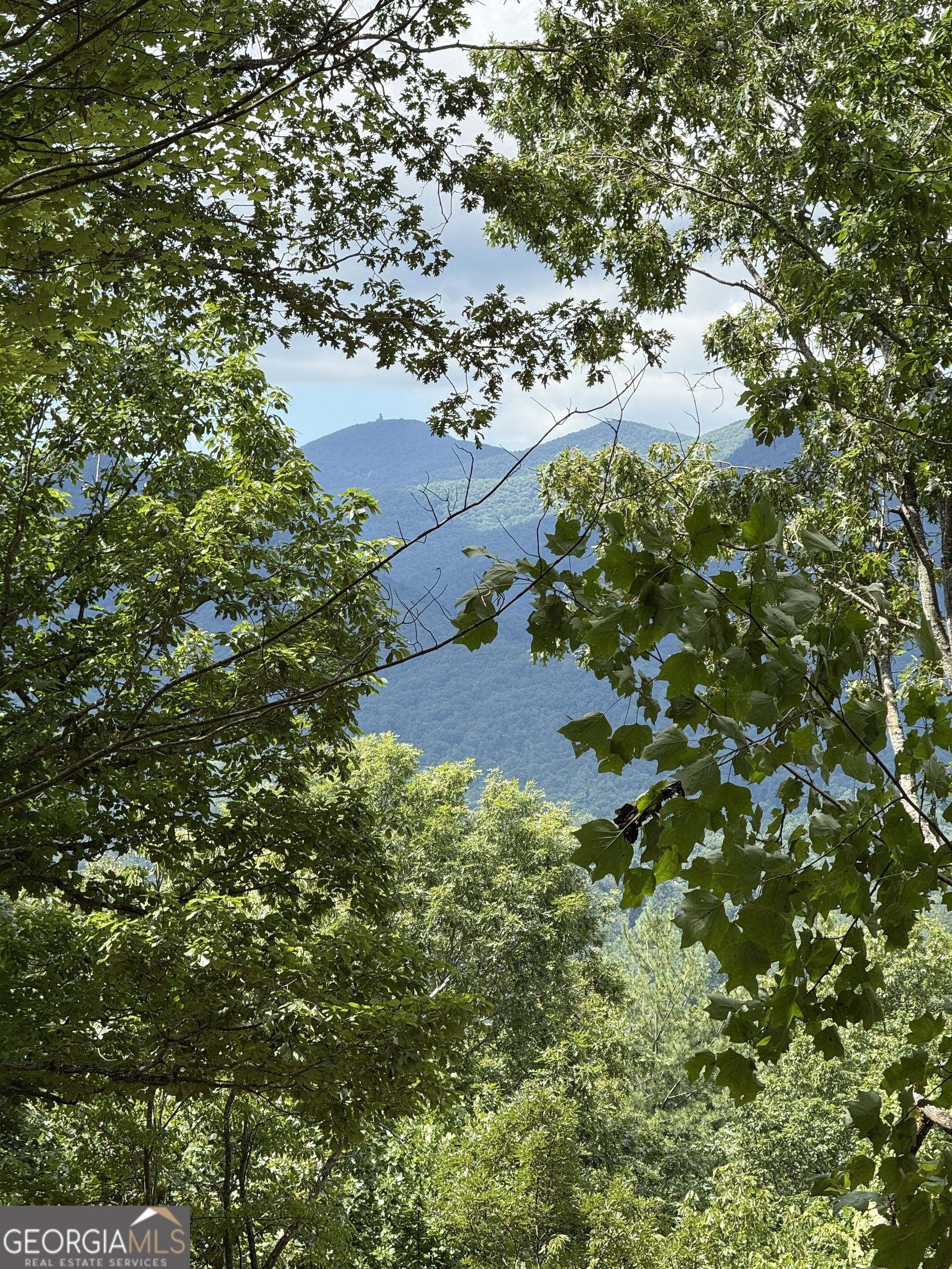 Lot 7 Whiskey Mountain Estates Hiawassee GA 30546