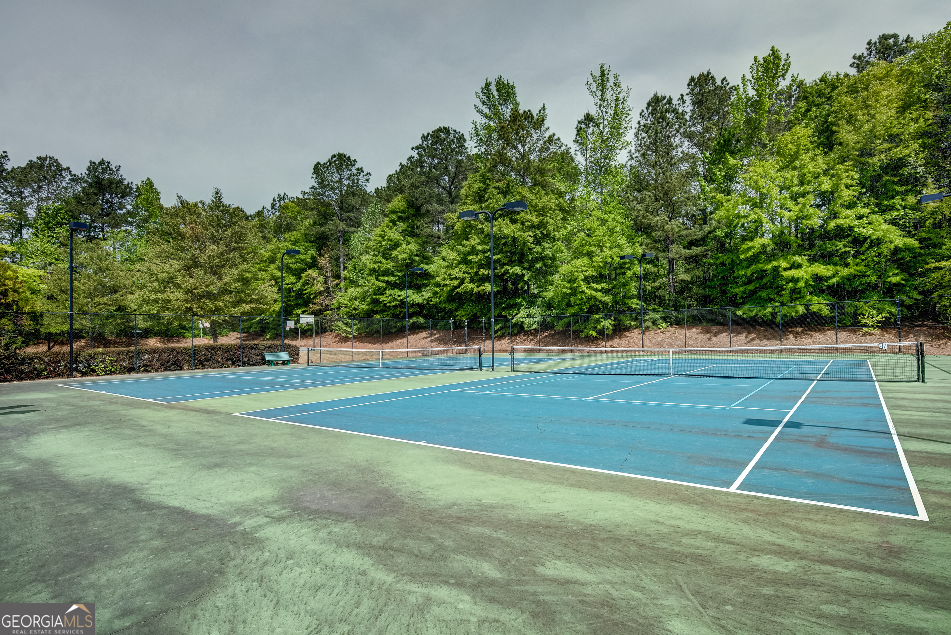 235 Renwick Drive Senoia GA 30276
