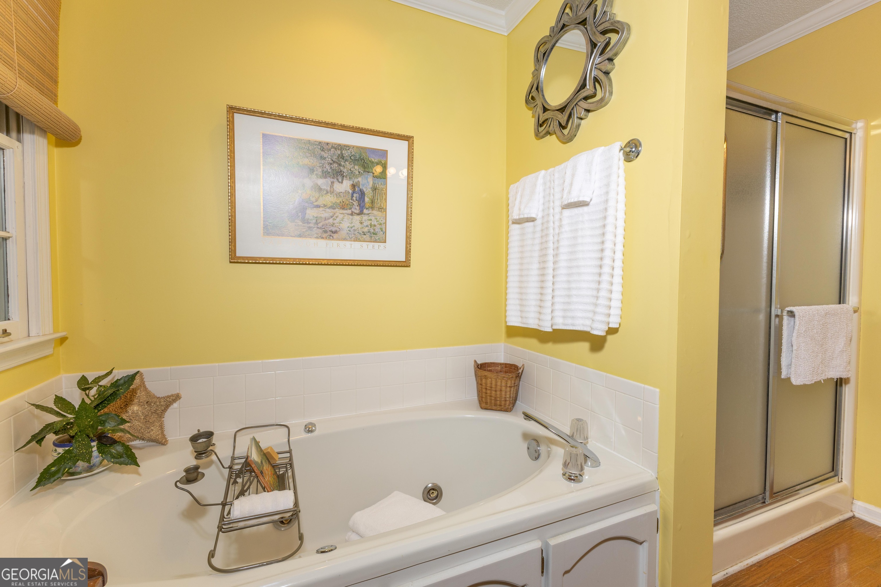 175 Weeping Willow Way Tyrone GA 30290