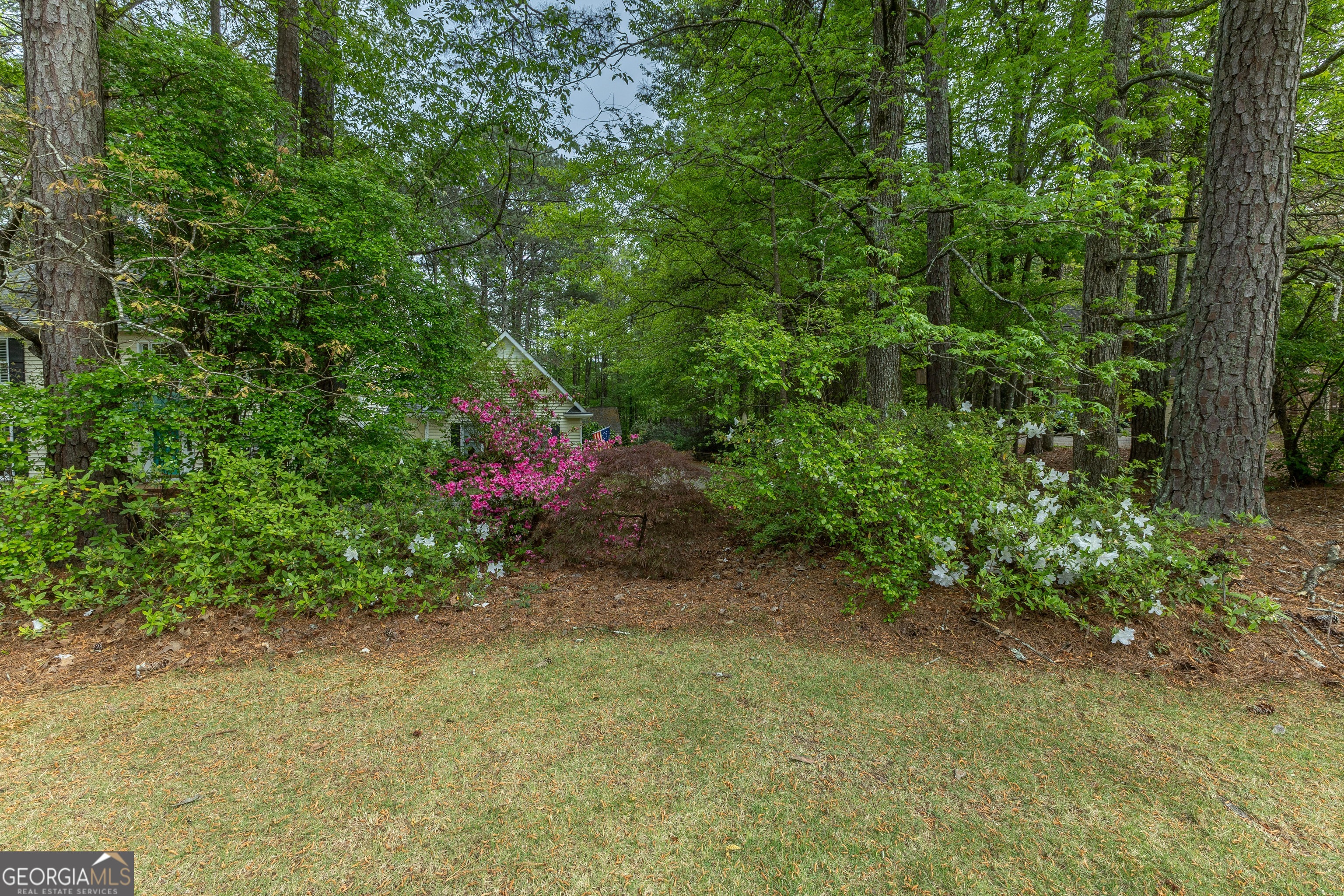 175 Weeping Willow Way Tyrone GA 30290