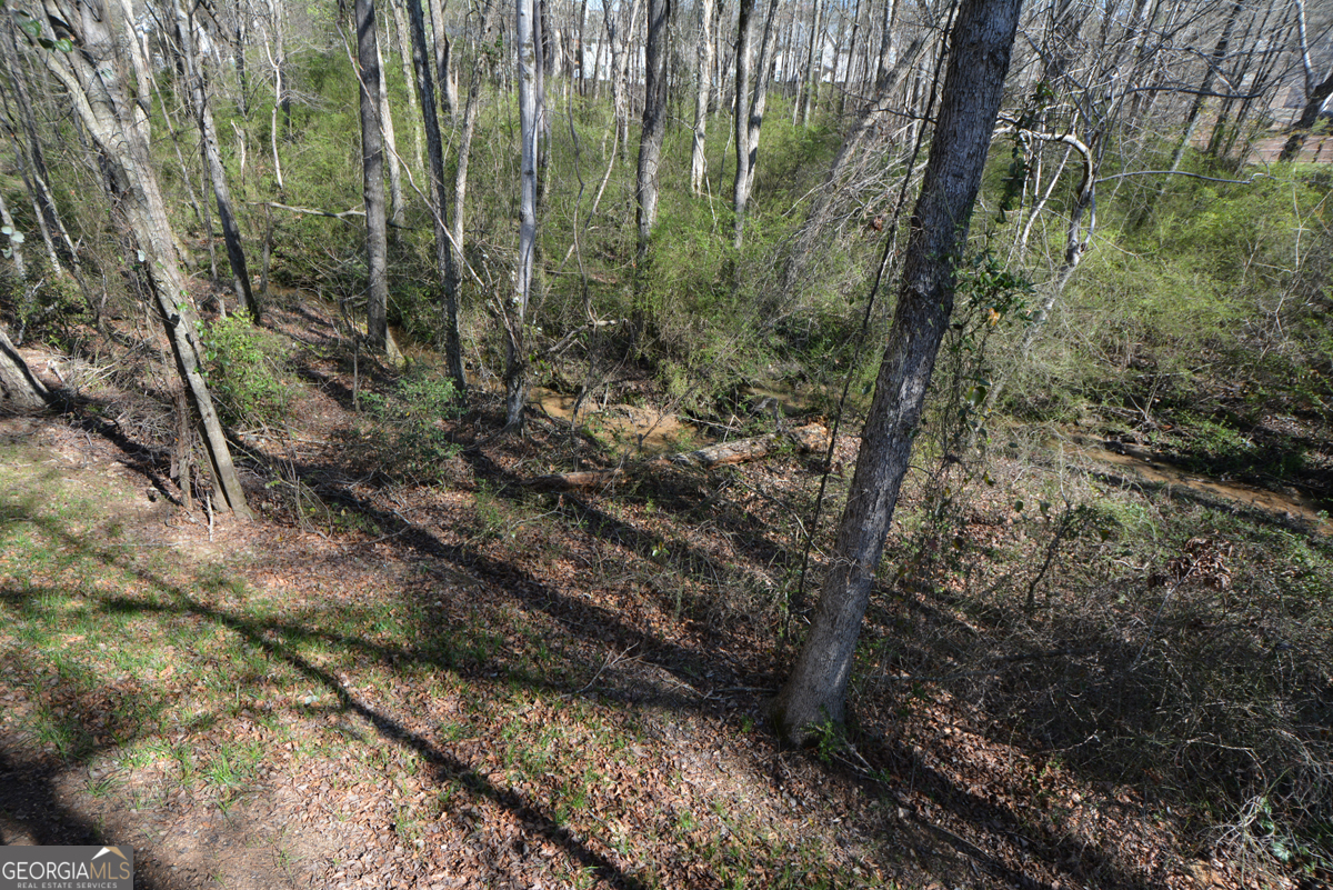 1816 Jessica Way Winder GA 30680