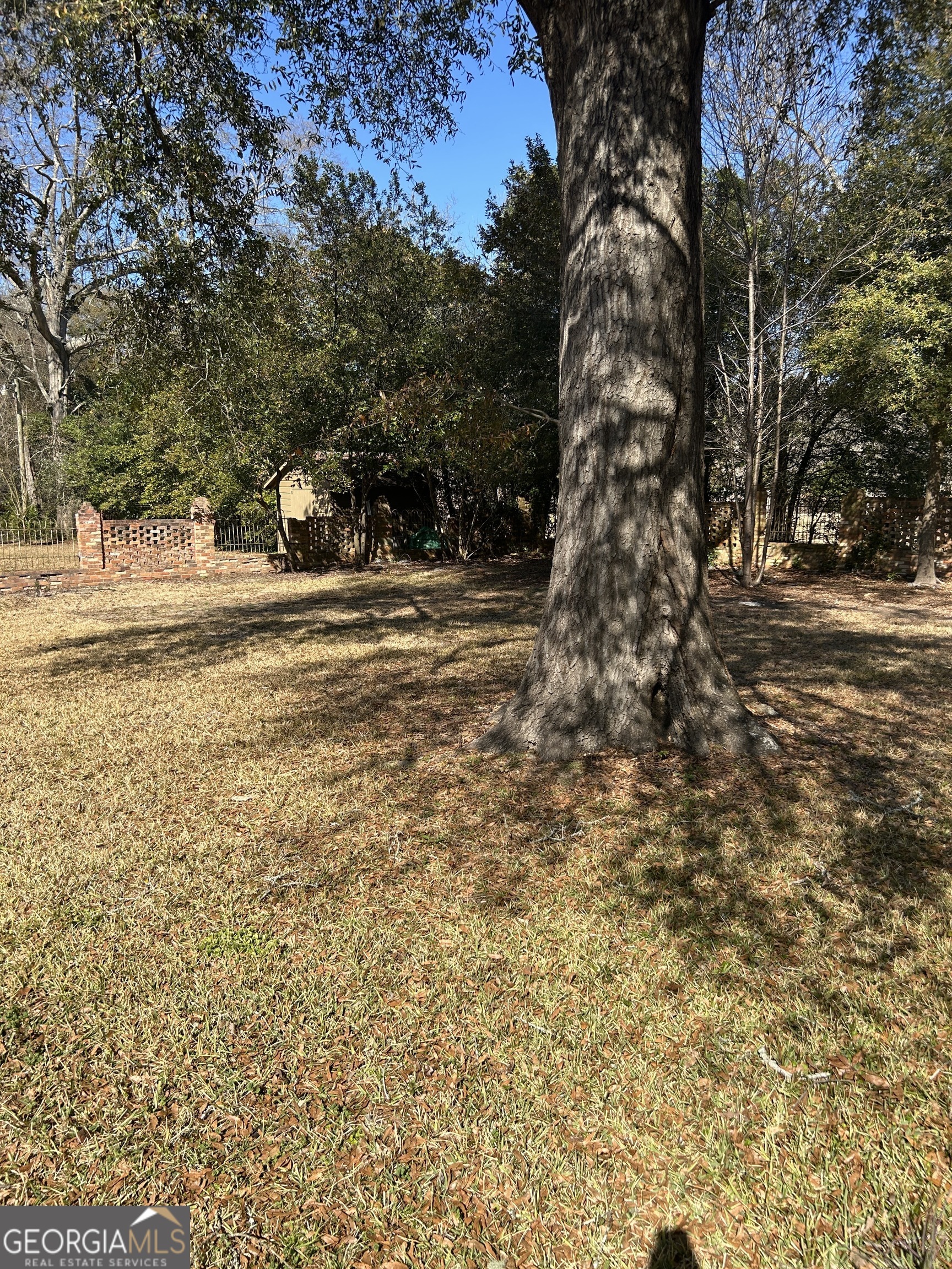 601 Engram Street Montezuma GA 31063