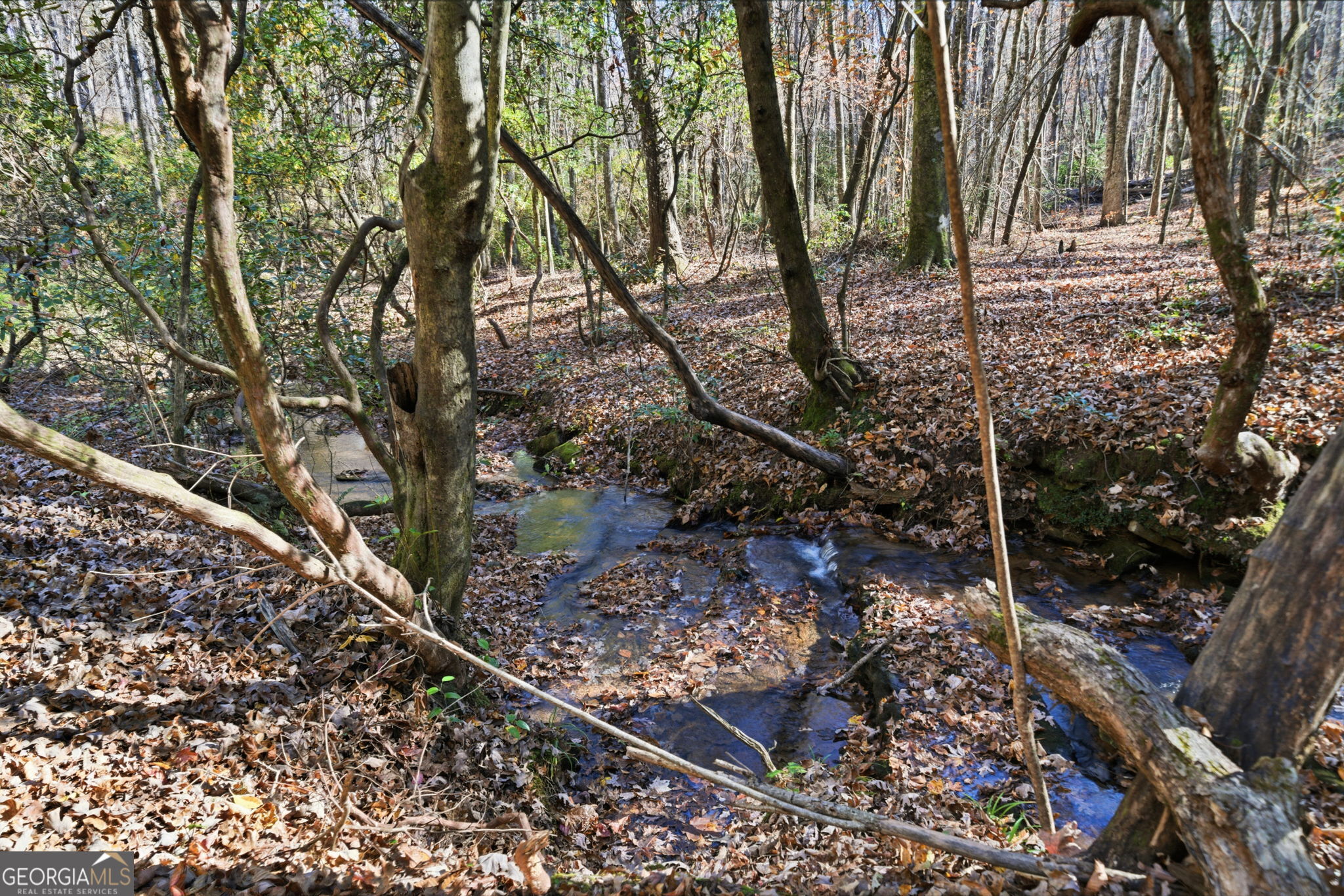 120 Twisted Pines Crossing Dahlonega GA 30533