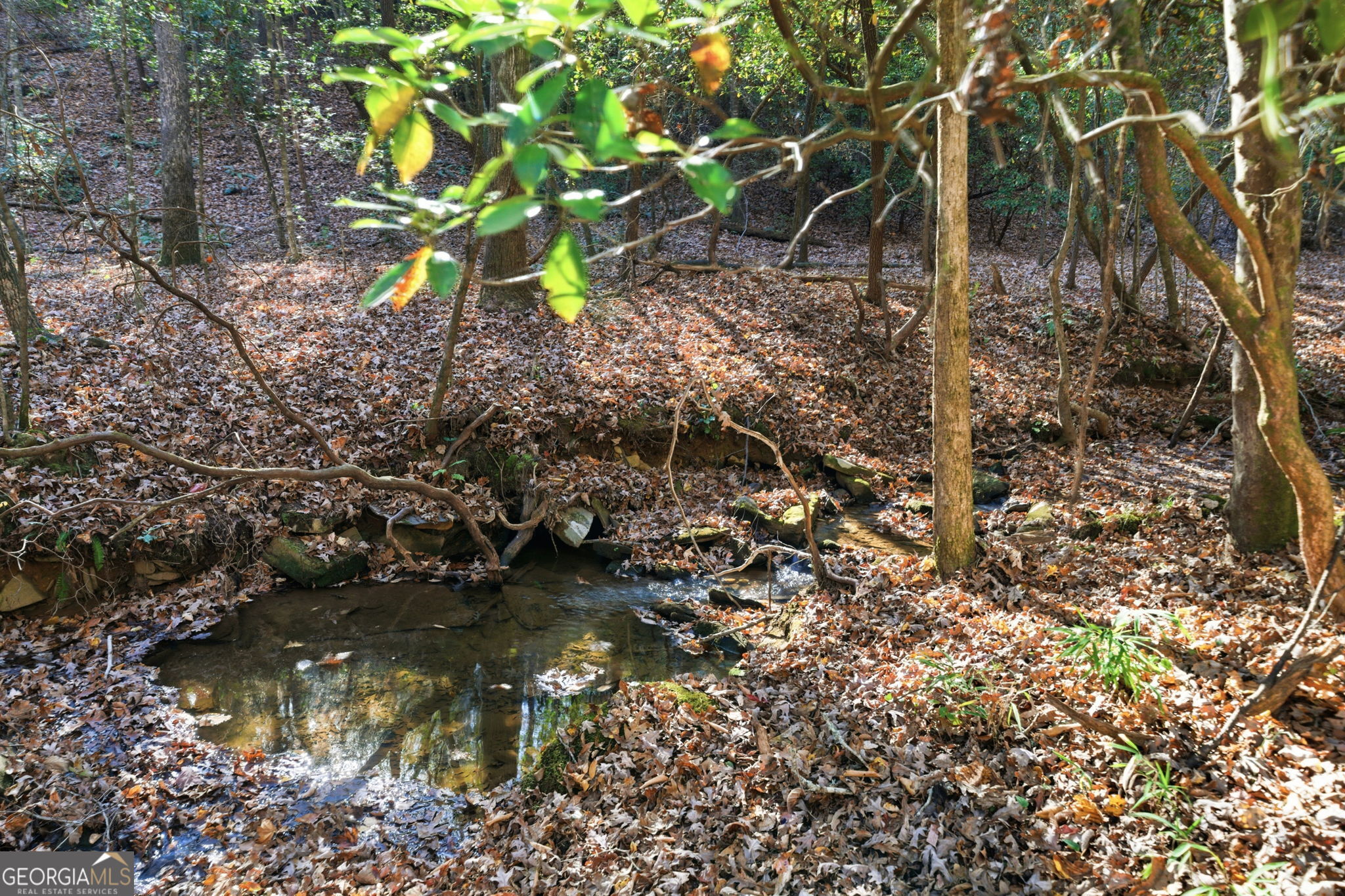 120 Twisted Pines Crossing Dahlonega GA 30533