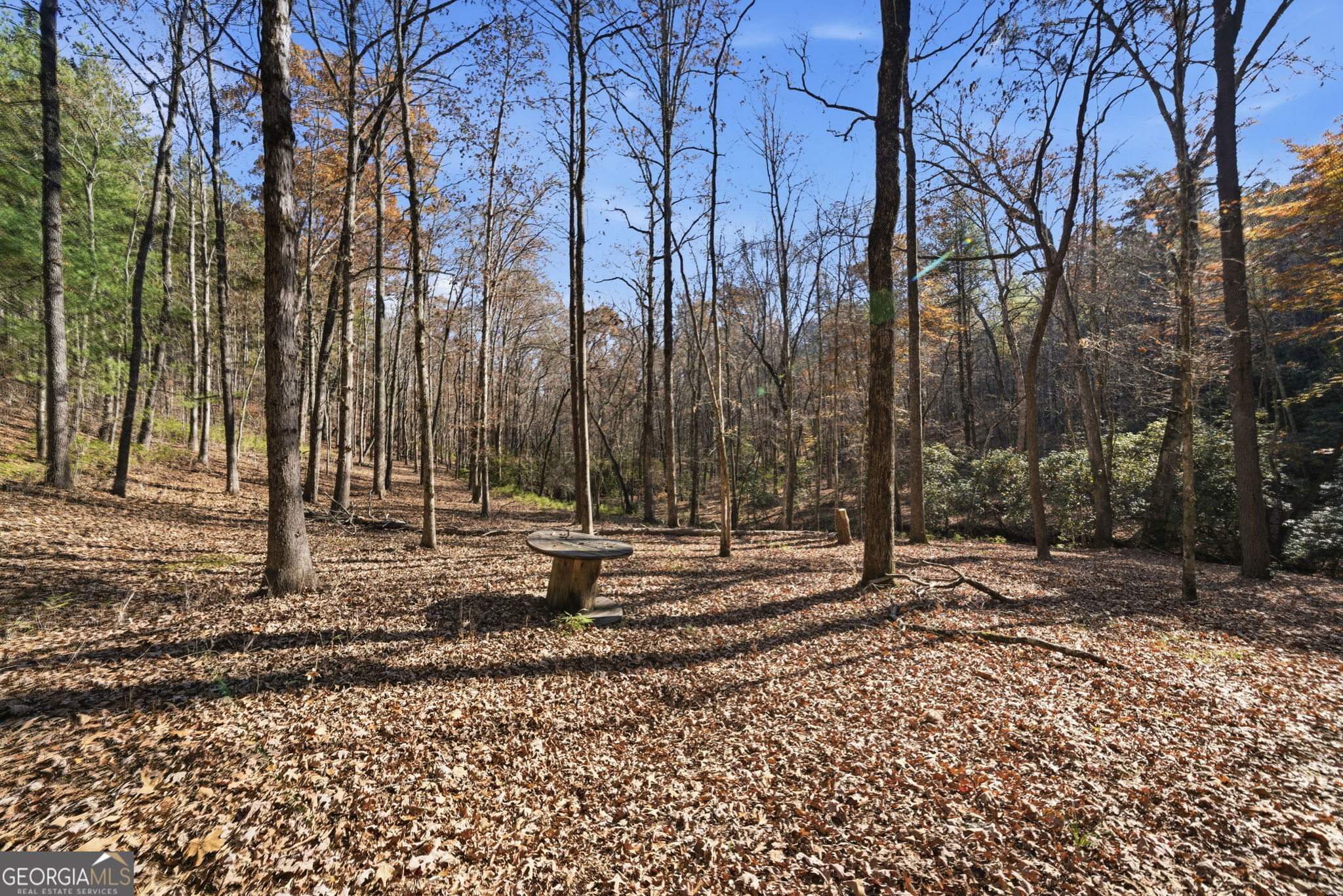 120 Twisted Pines Crossing Dahlonega GA 30533