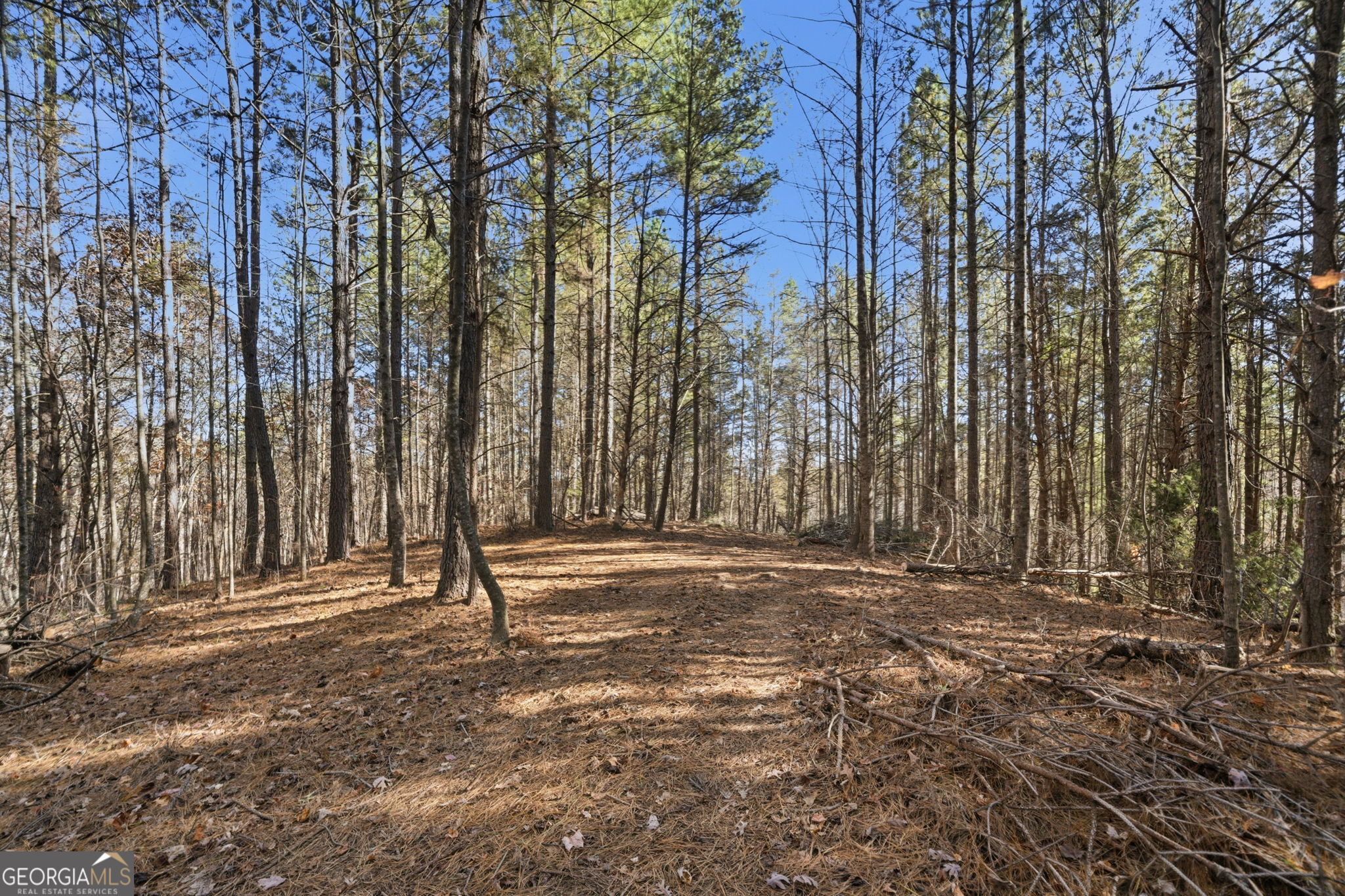 120 Twisted Pines Crossing Dahlonega GA 30533
