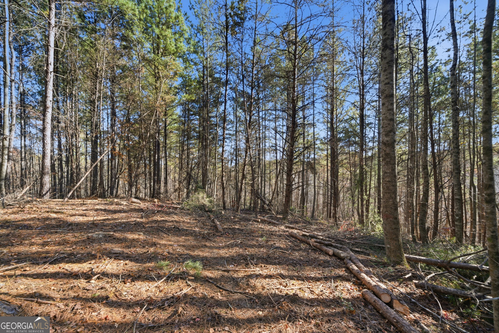 120 Twisted Pines Crossing Dahlonega GA 30533