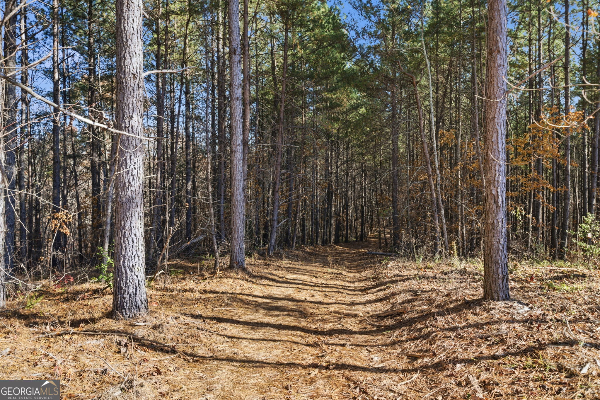 120 Twisted Pines Crossing Dahlonega GA 30533