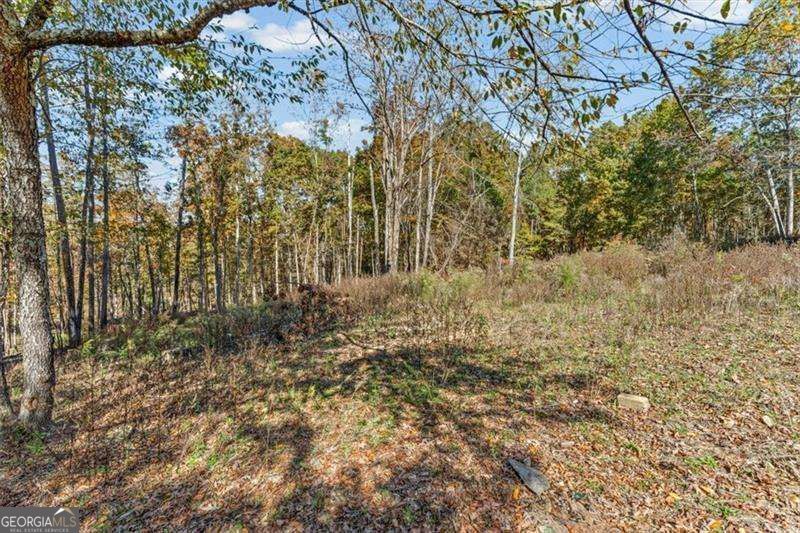 110A Williams Road SE Silver Creek GA 30173