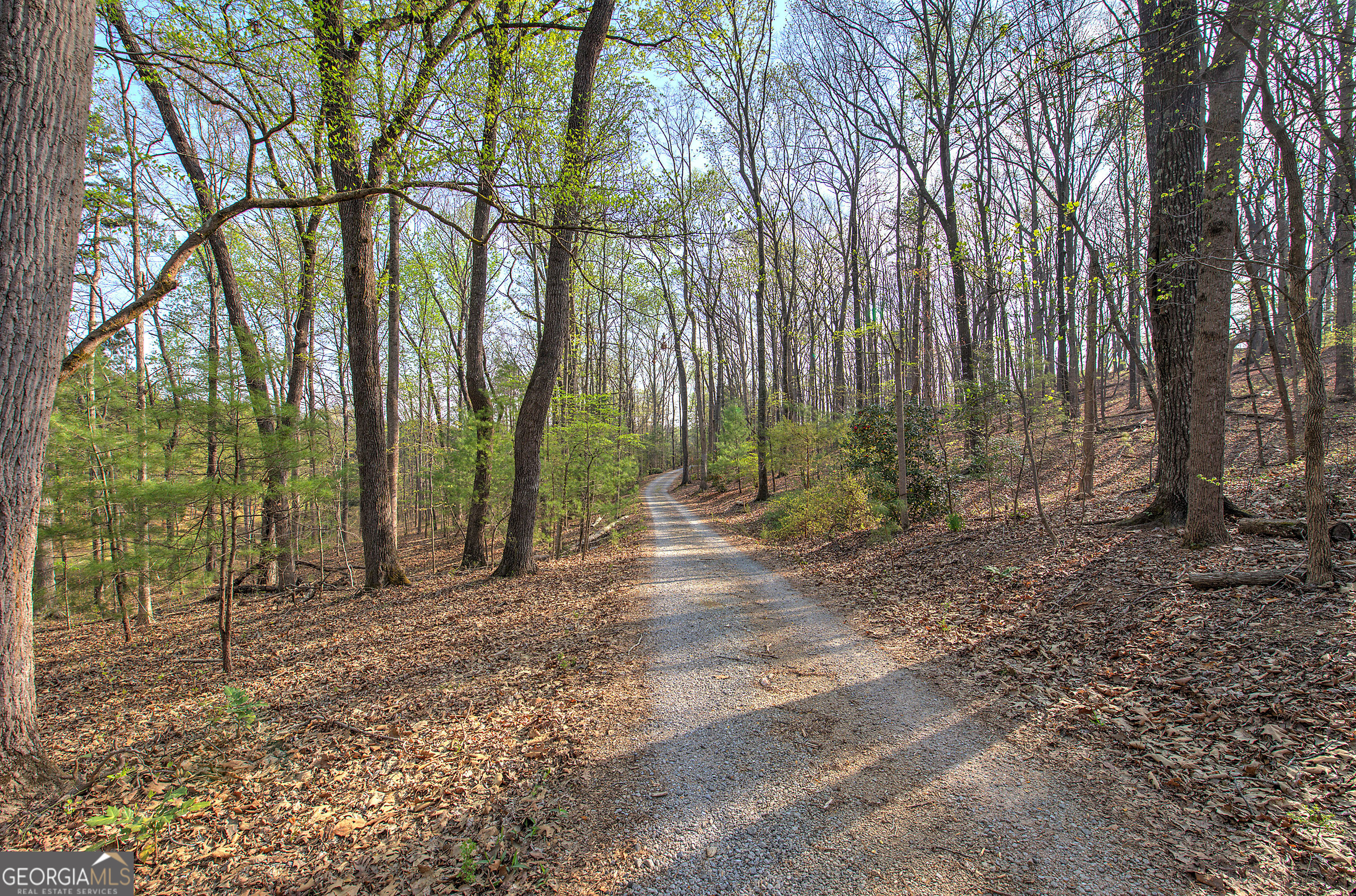 75 Star Wars Path Dallas GA 30132
