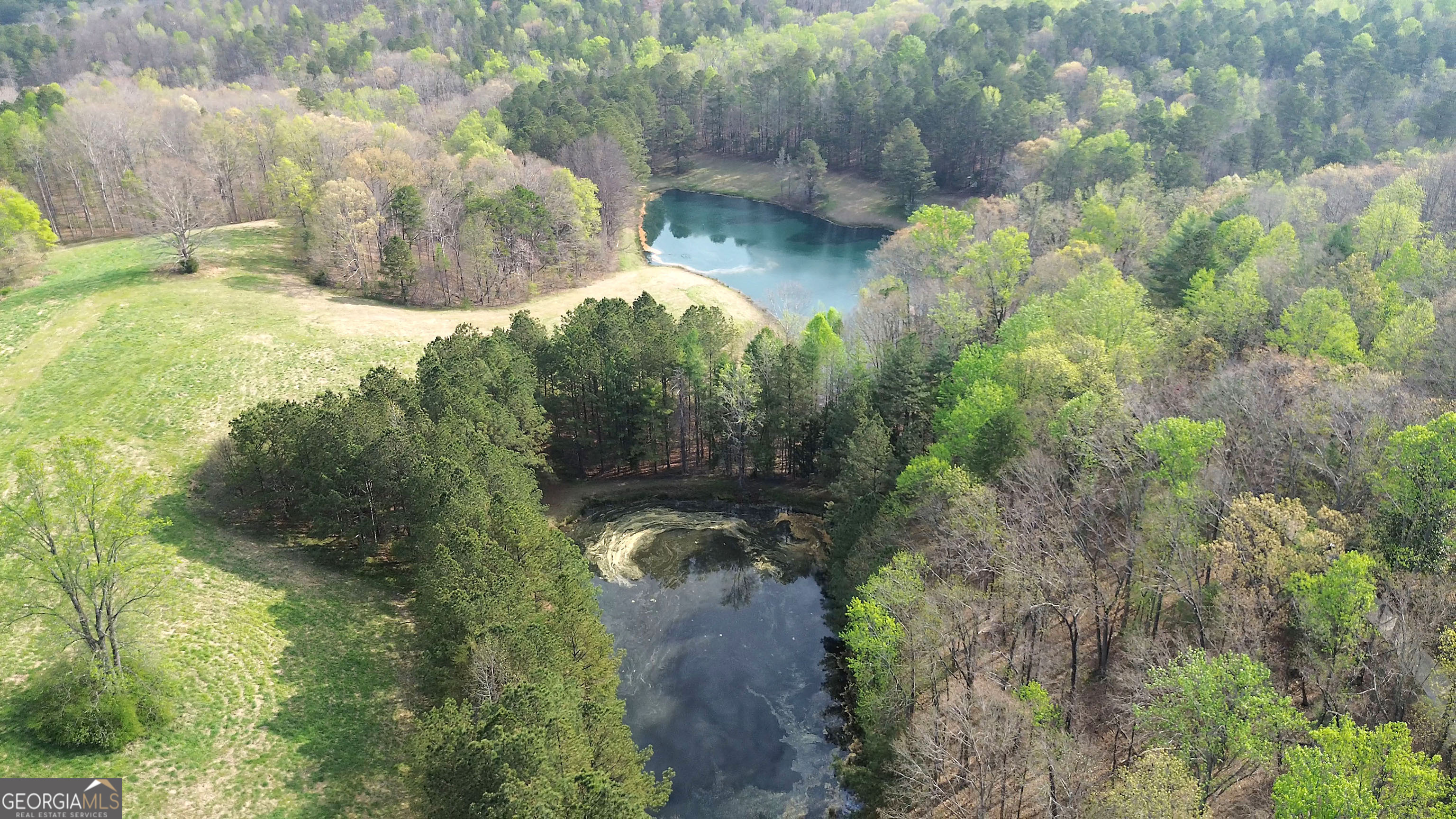 75 Star Wars Path Dallas GA 30132