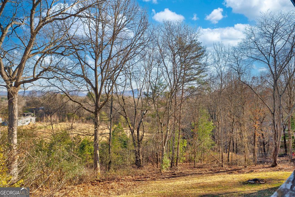 716 Lakeview Circle Morganton GA 30560