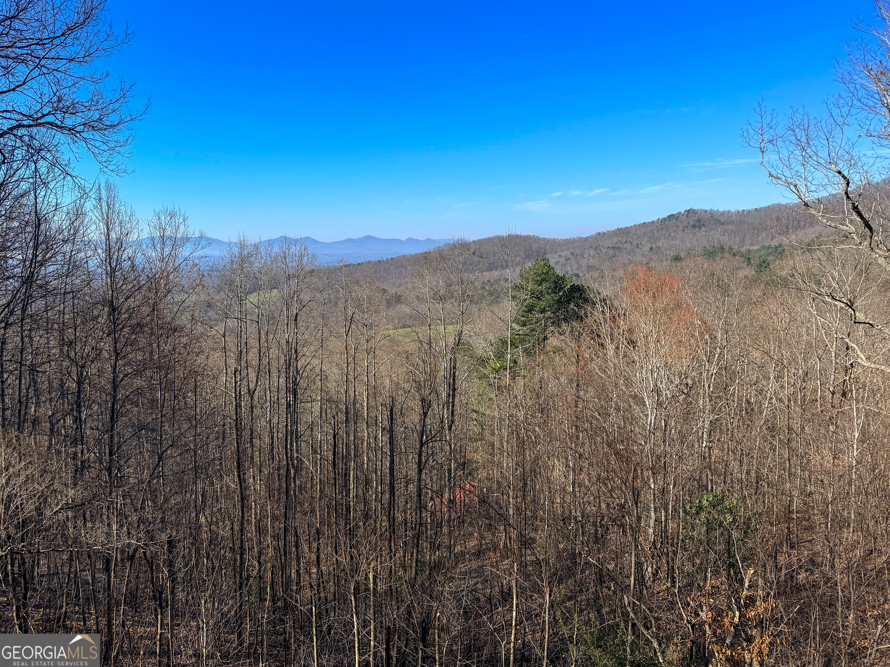 221 Wilson Lane Blairsville GA 30512