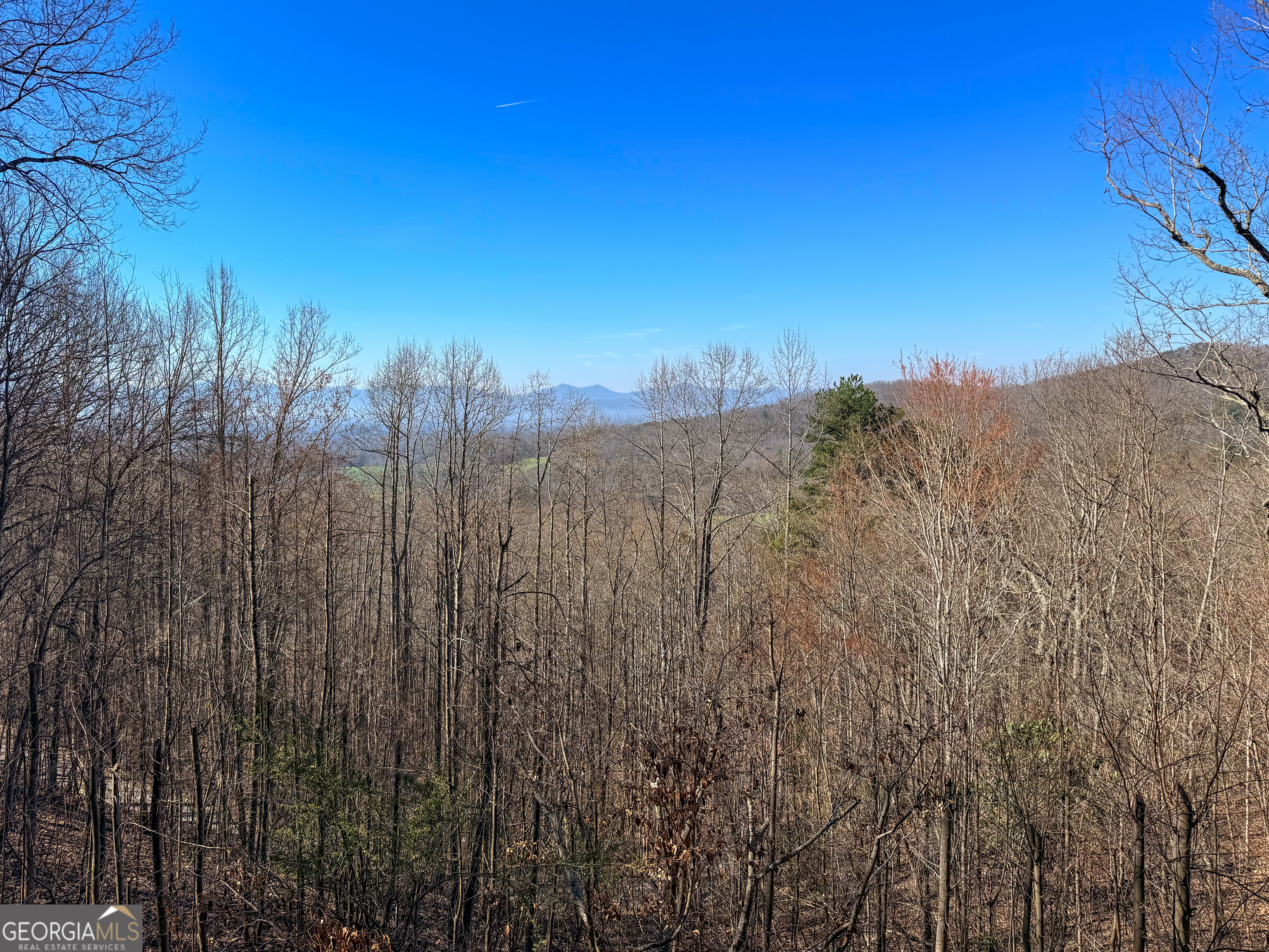 221 Wilson Lane Blairsville GA 30512