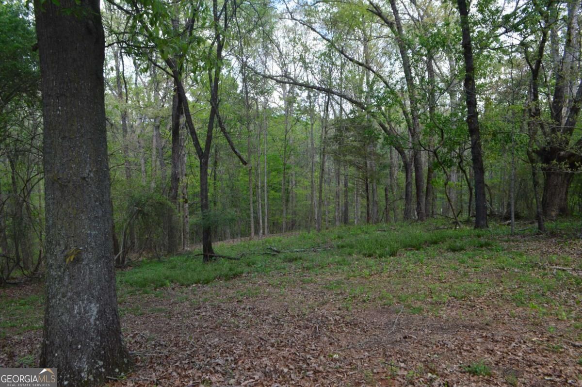 66 Topaz Lane Royston GA 30662