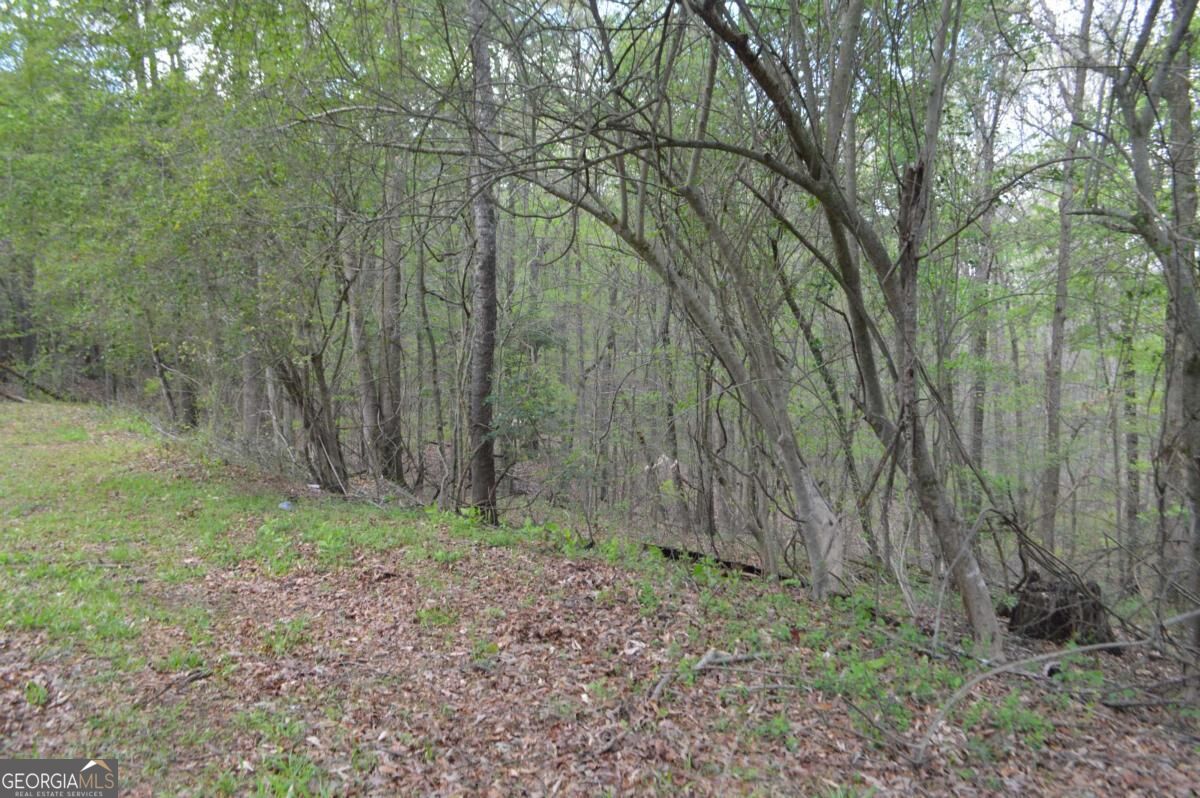 66 Topaz Lane Royston GA 30662