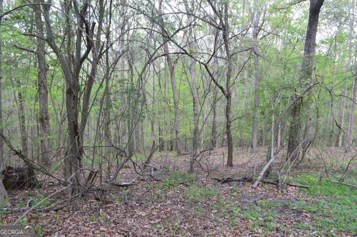 66 Topaz Lane Royston GA 30662