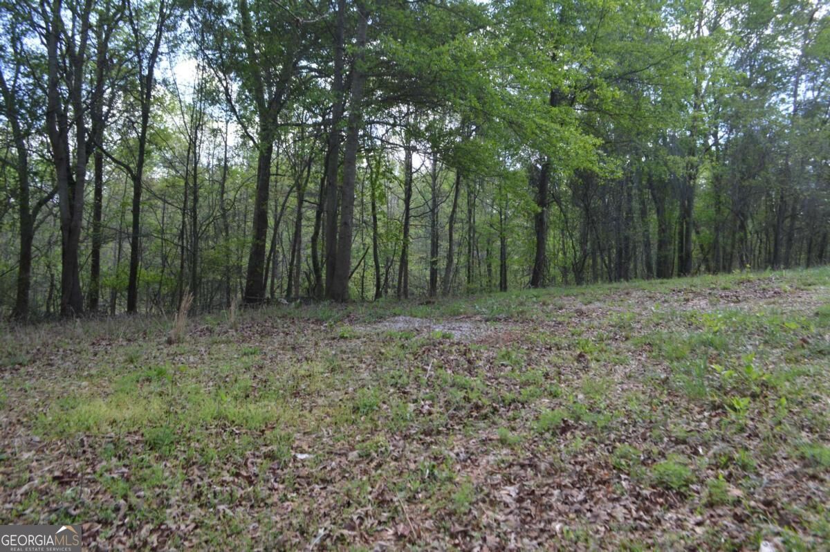 66 Topaz Lane Royston GA 30662