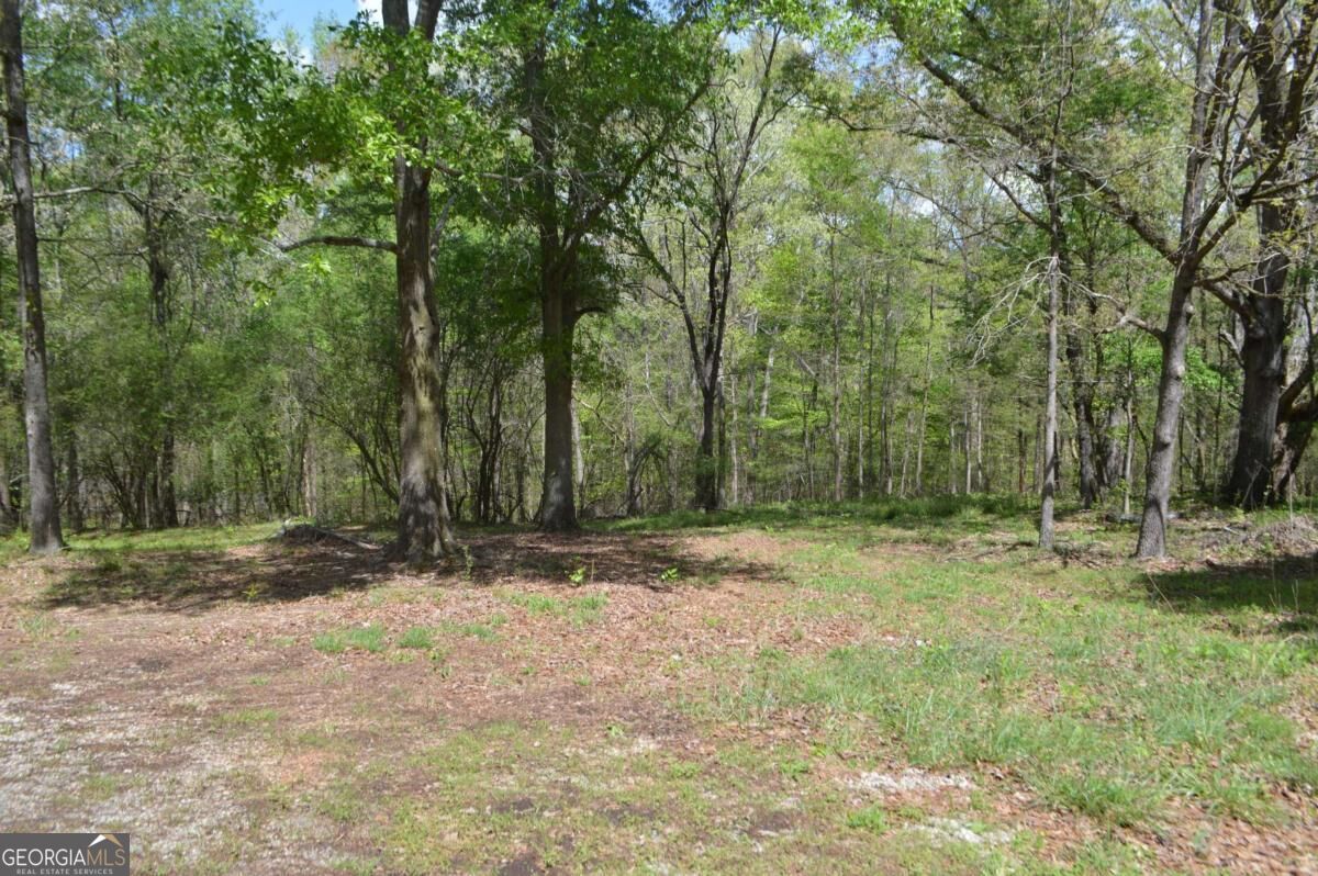 66 Topaz Lane Royston GA 30662